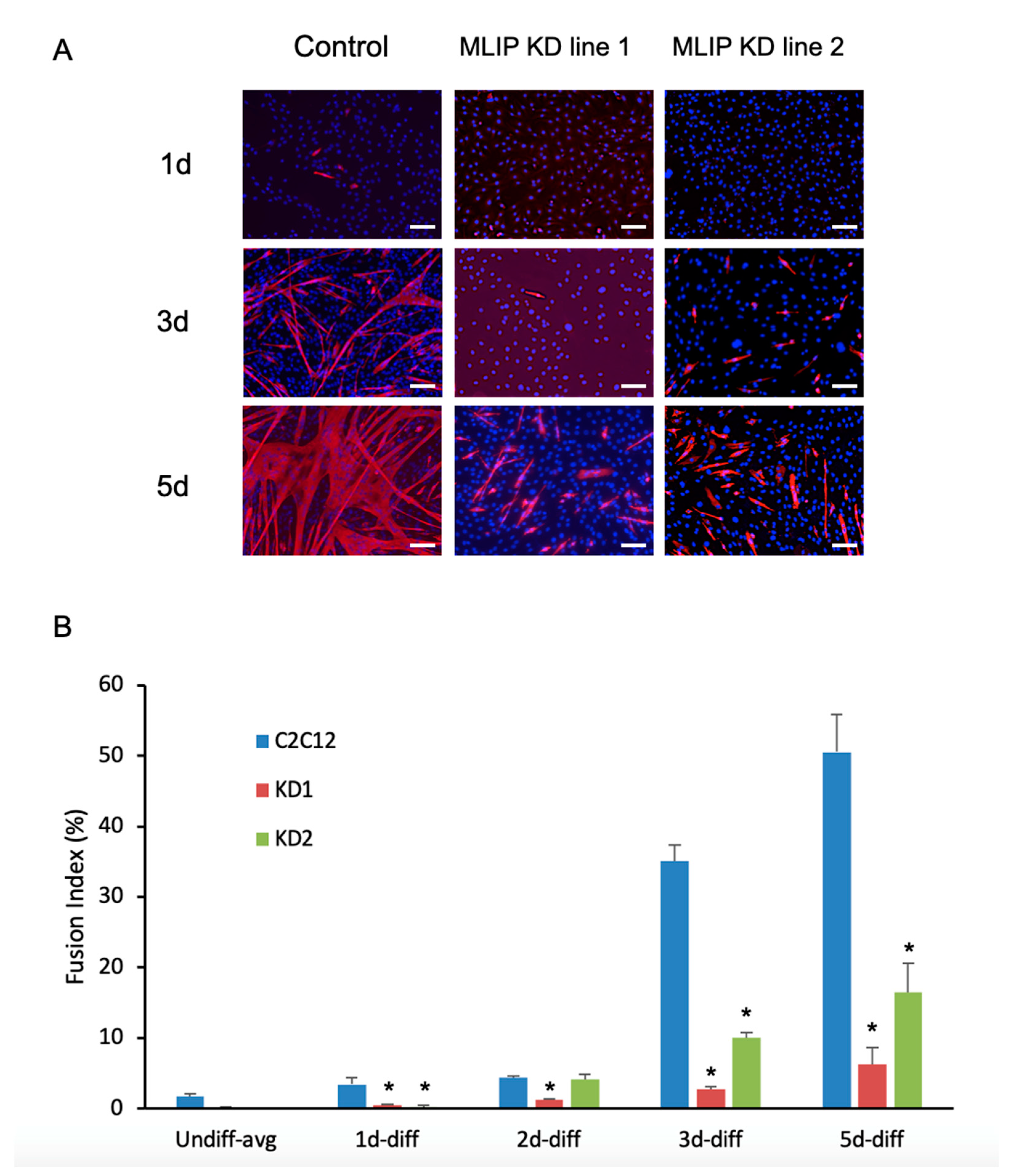 Cells 10 00615 g004 Cells 10 00615 g004