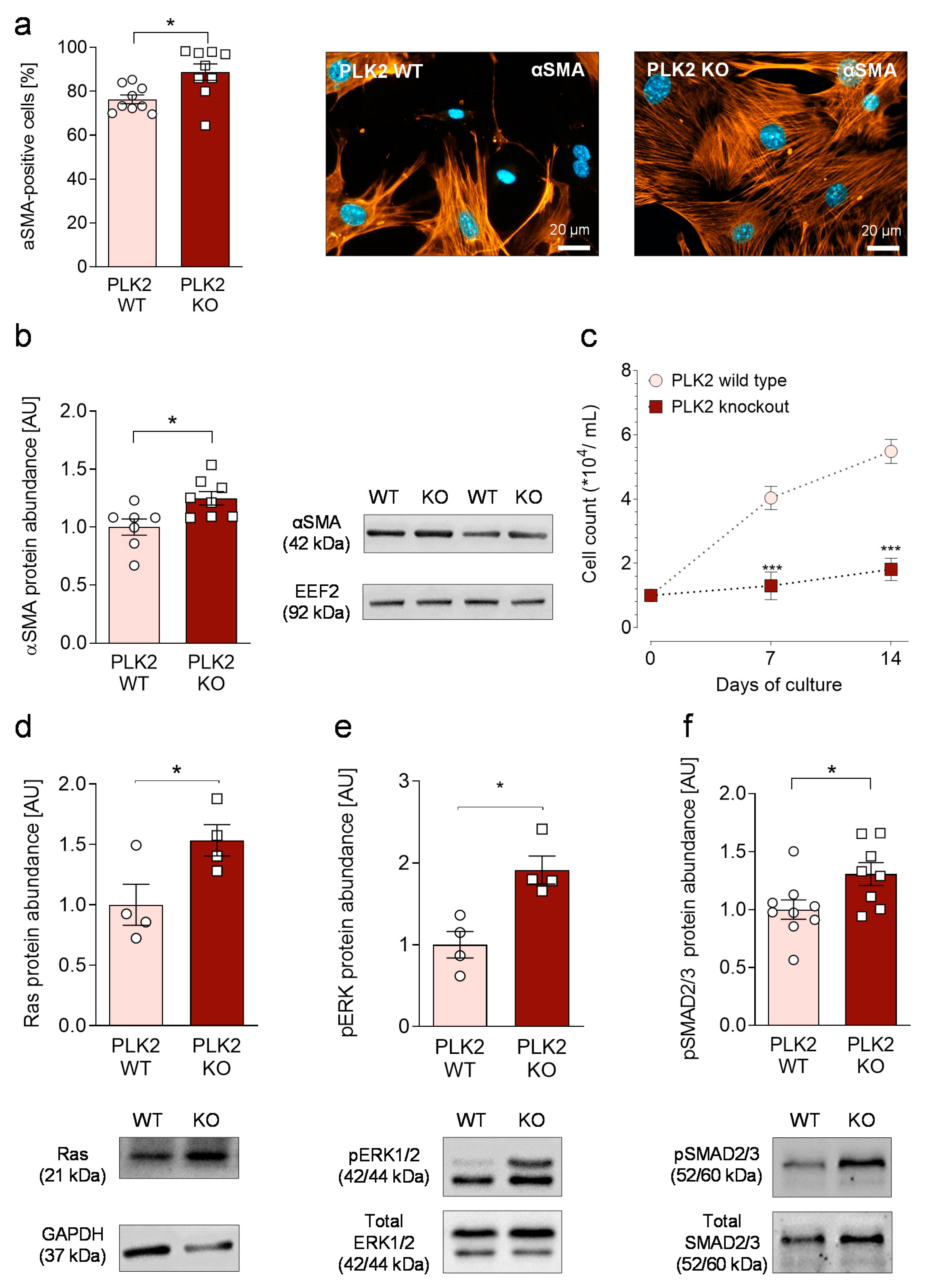 Cells 10 00617 g001 Cells 10 00617 g001