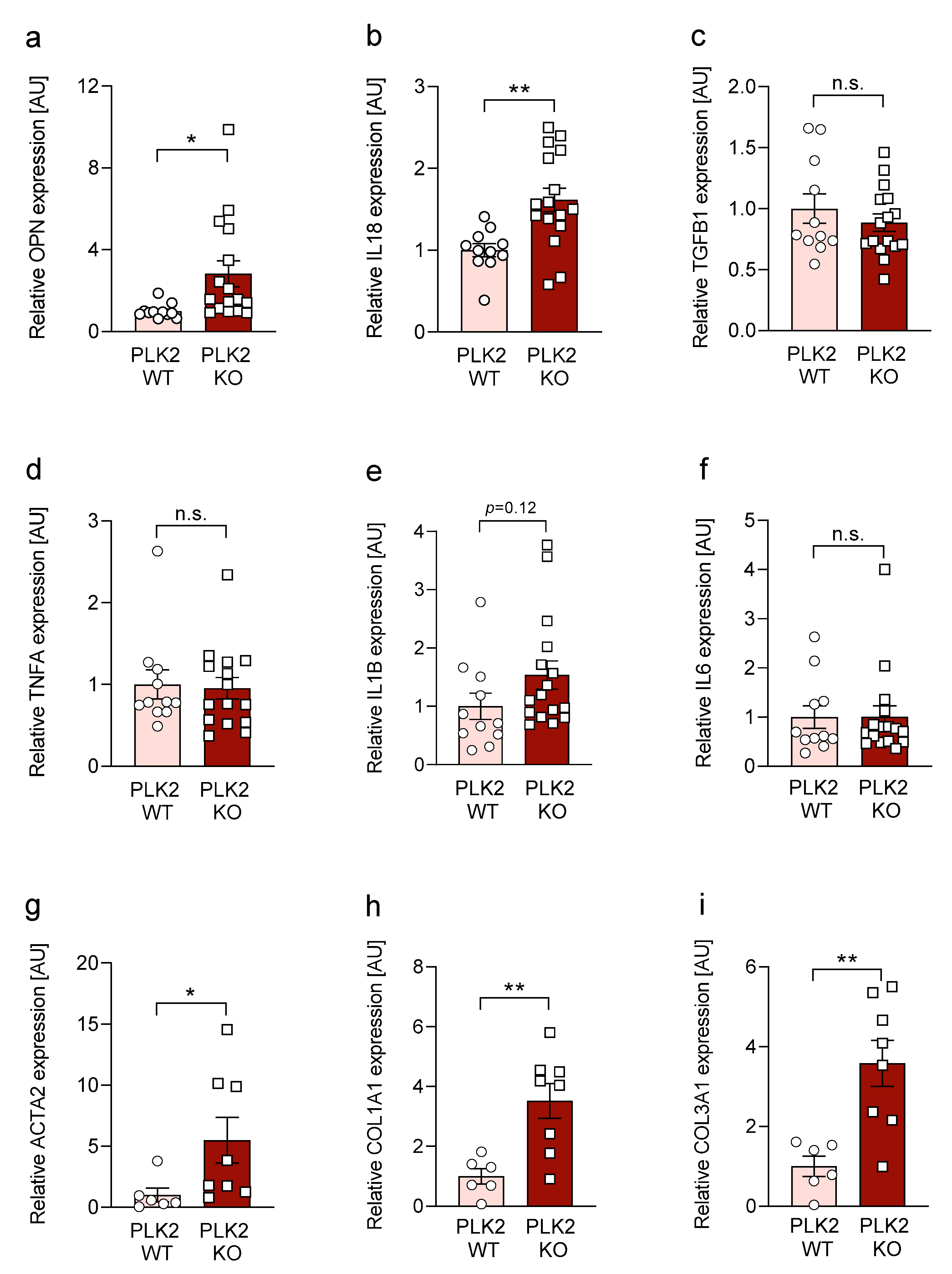 Cells 10 00617 g002 Cells 10 00617 g002