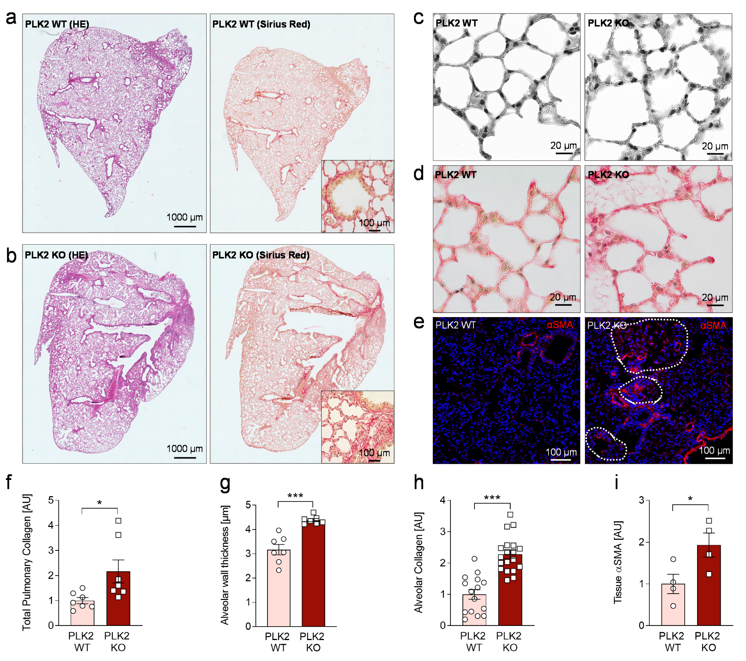 Cells 10 00617 g003 Cells 10 00617 g003