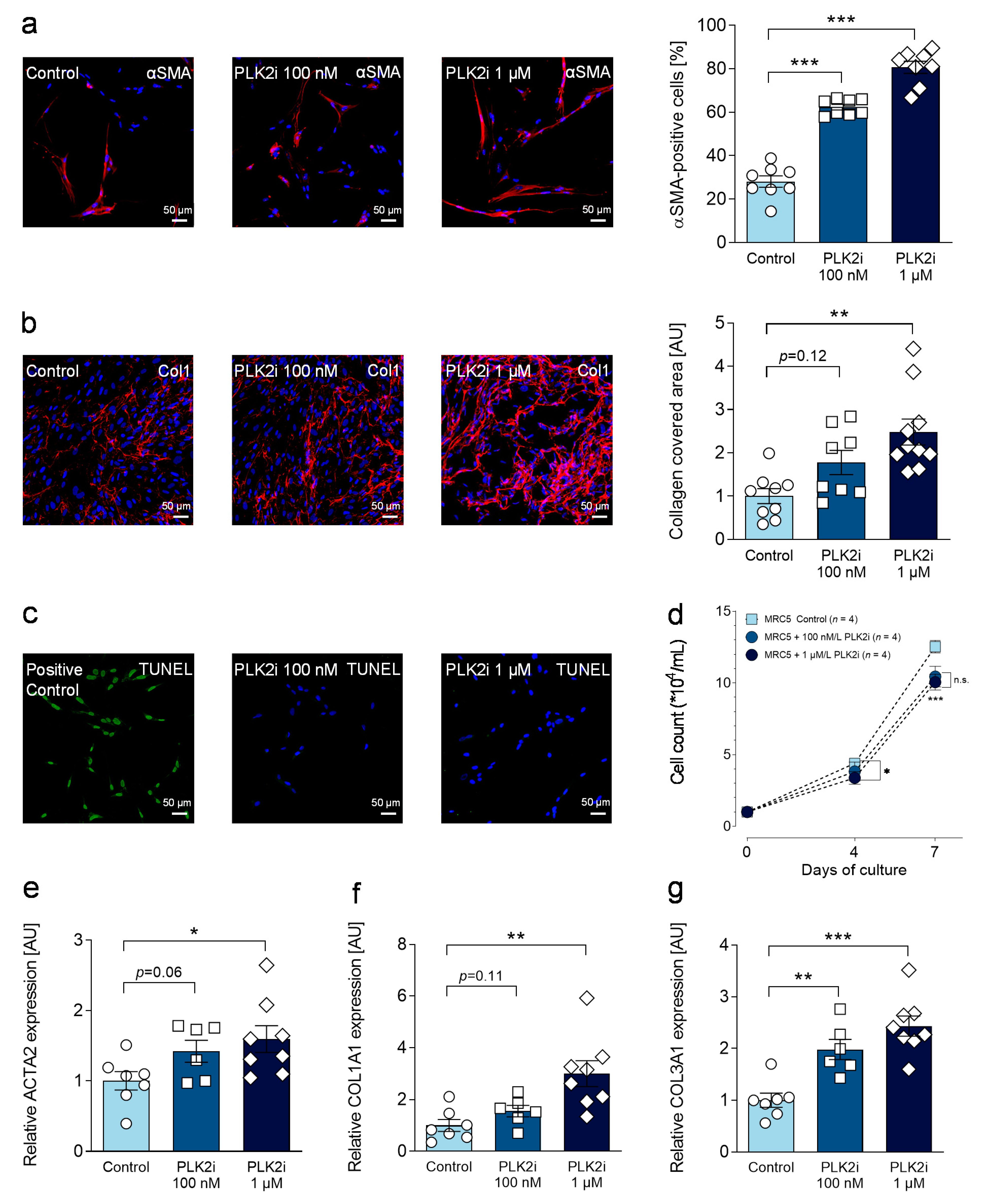 Cells 10 00617 g004 Cells 10 00617 g004
