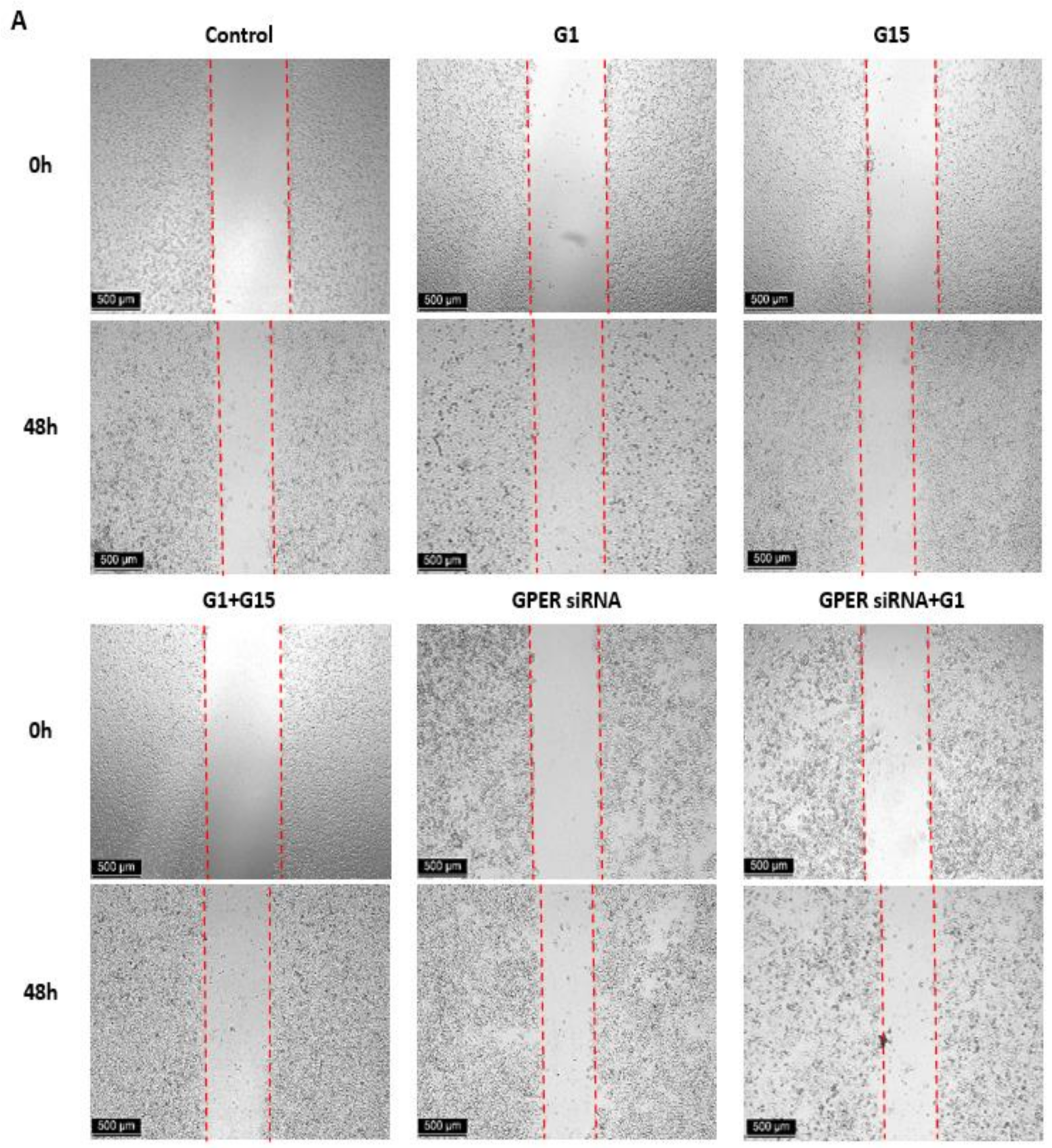 Cells 10 00619 g007a