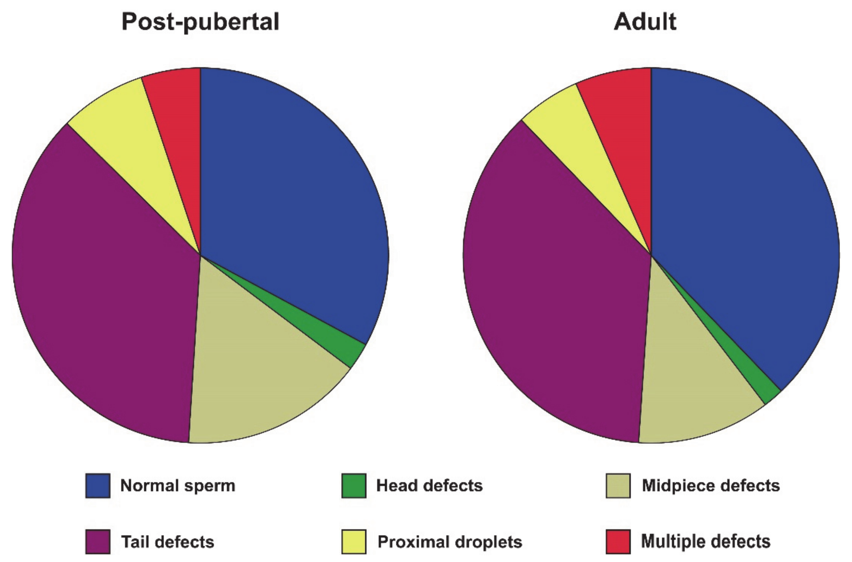 Cells 10 00624 g003 Cells 10 00624 g003