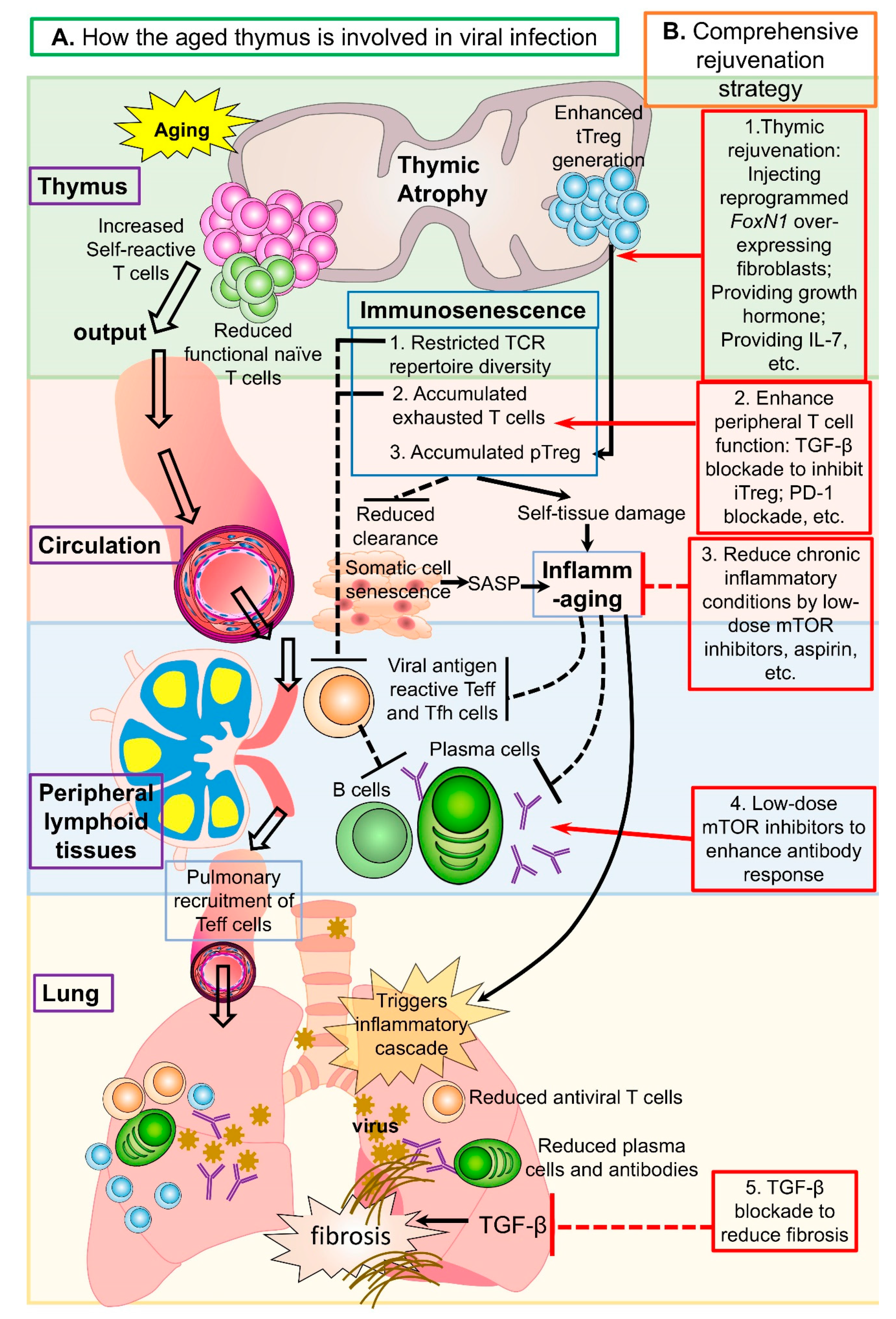 Cells 10 00628 g001 Cells 10 00628 g001
