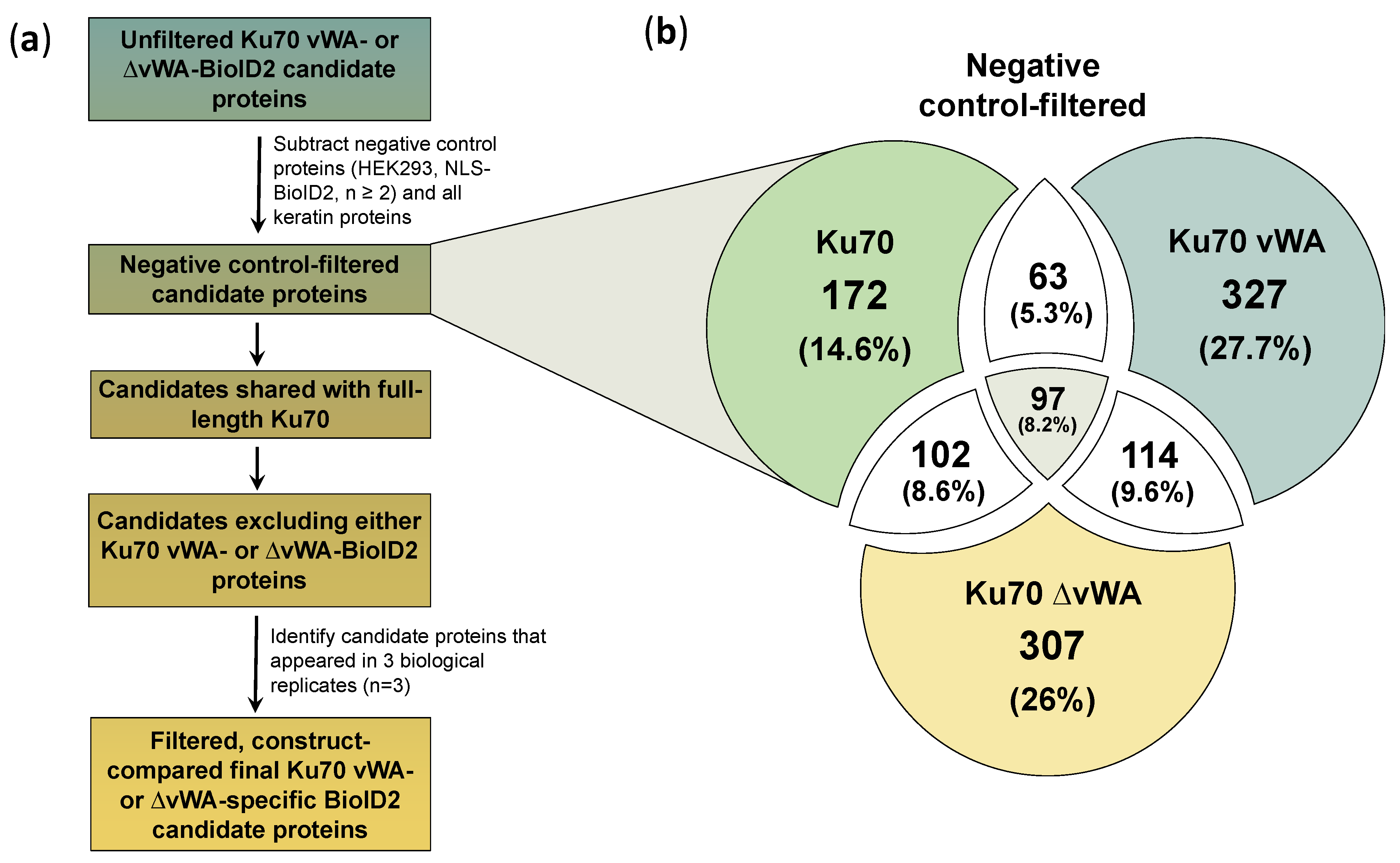 Cells 10 00646 g005 Cells 10 00646 g005