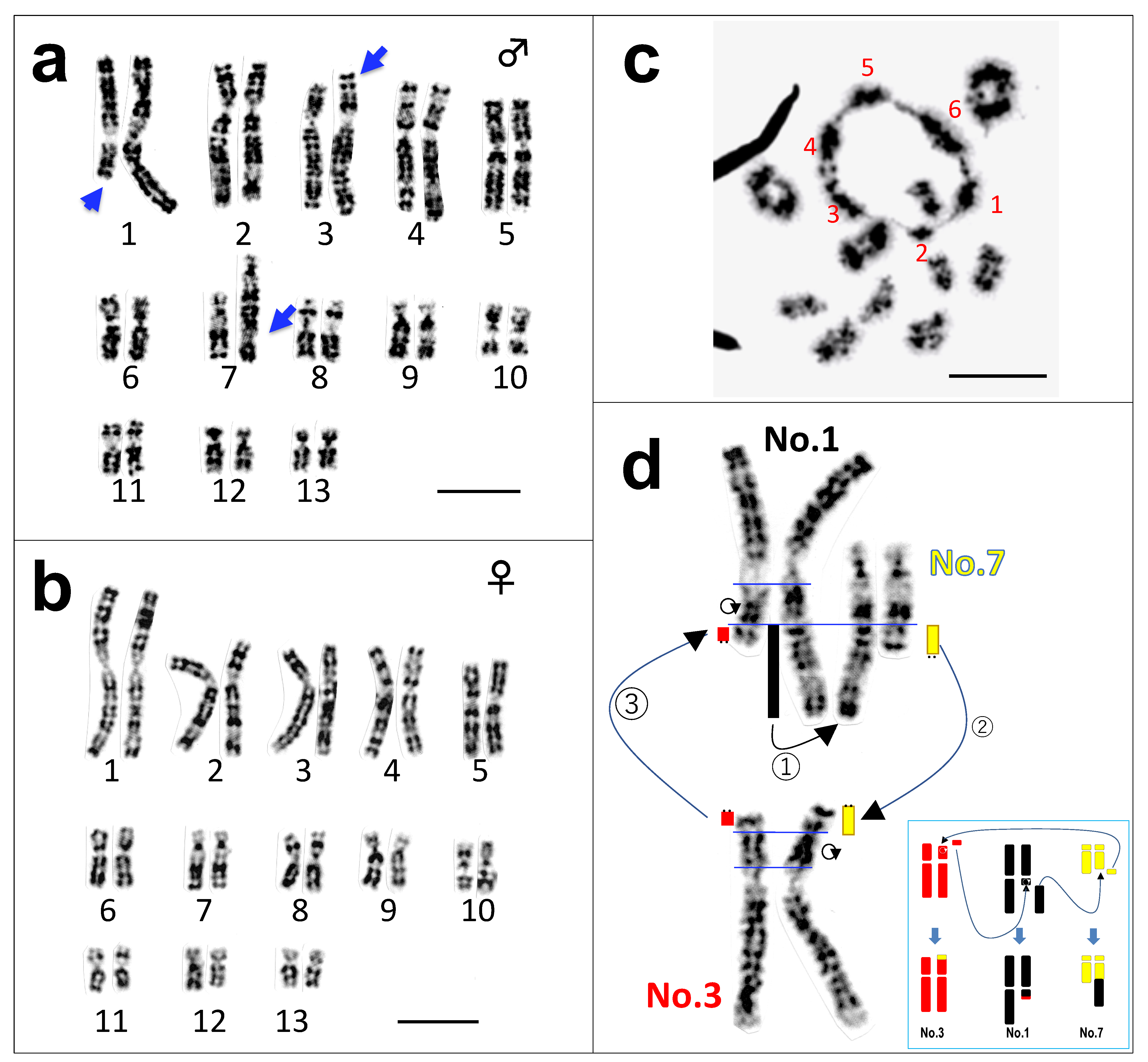 Cells 10 00661 g001
