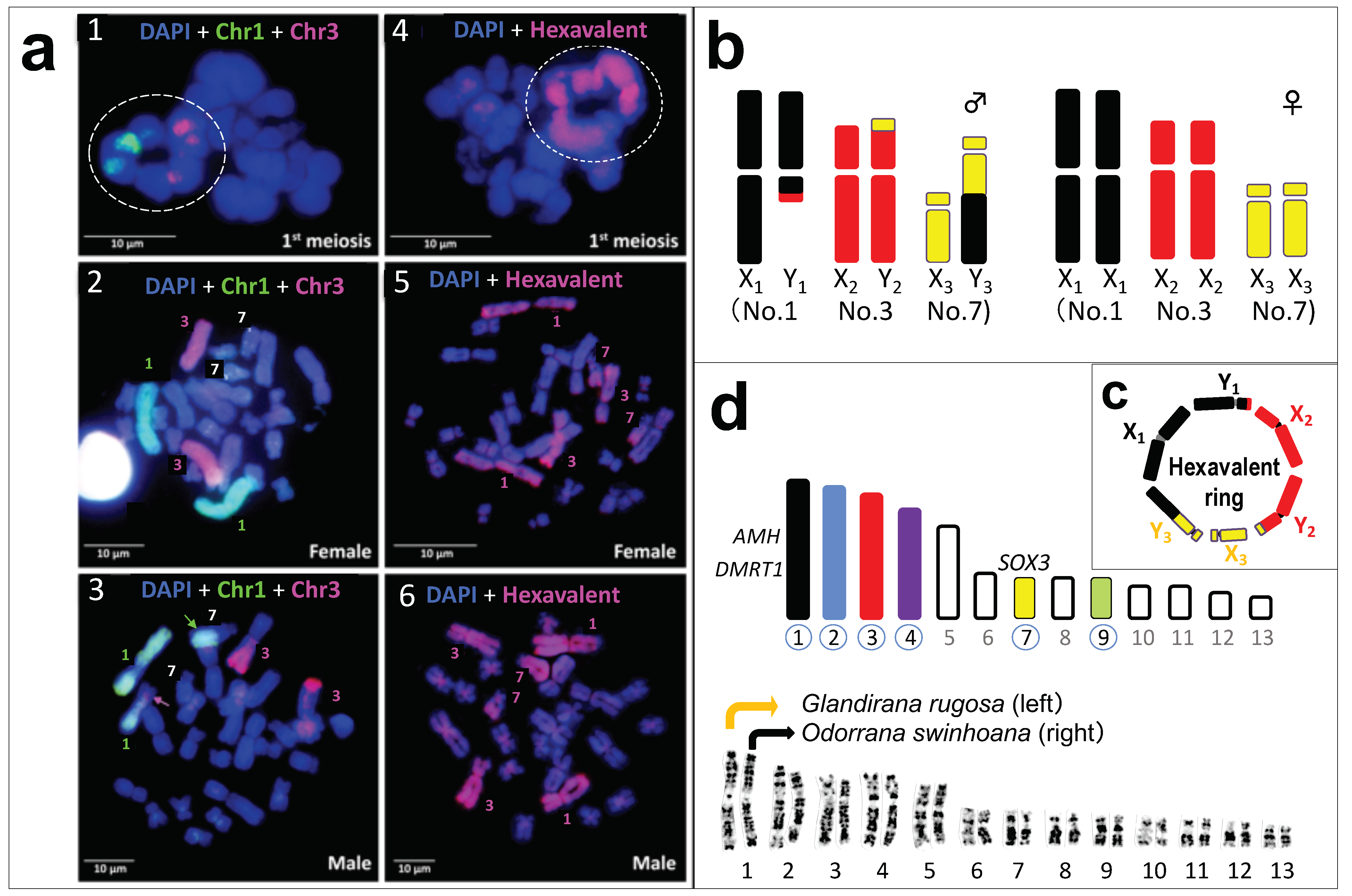 Cells 10 00661 g002