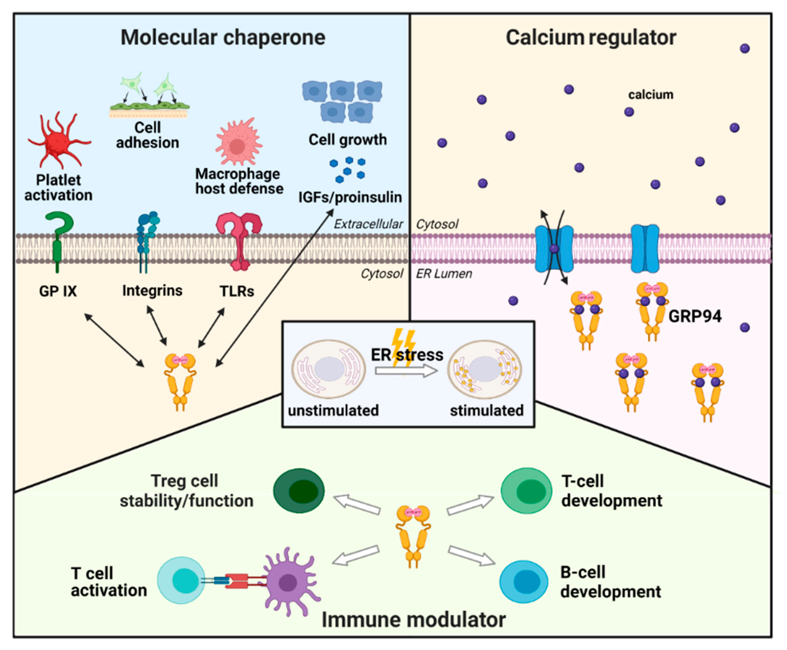 Cells 10 00670 g002 Cells 10 00670 g002