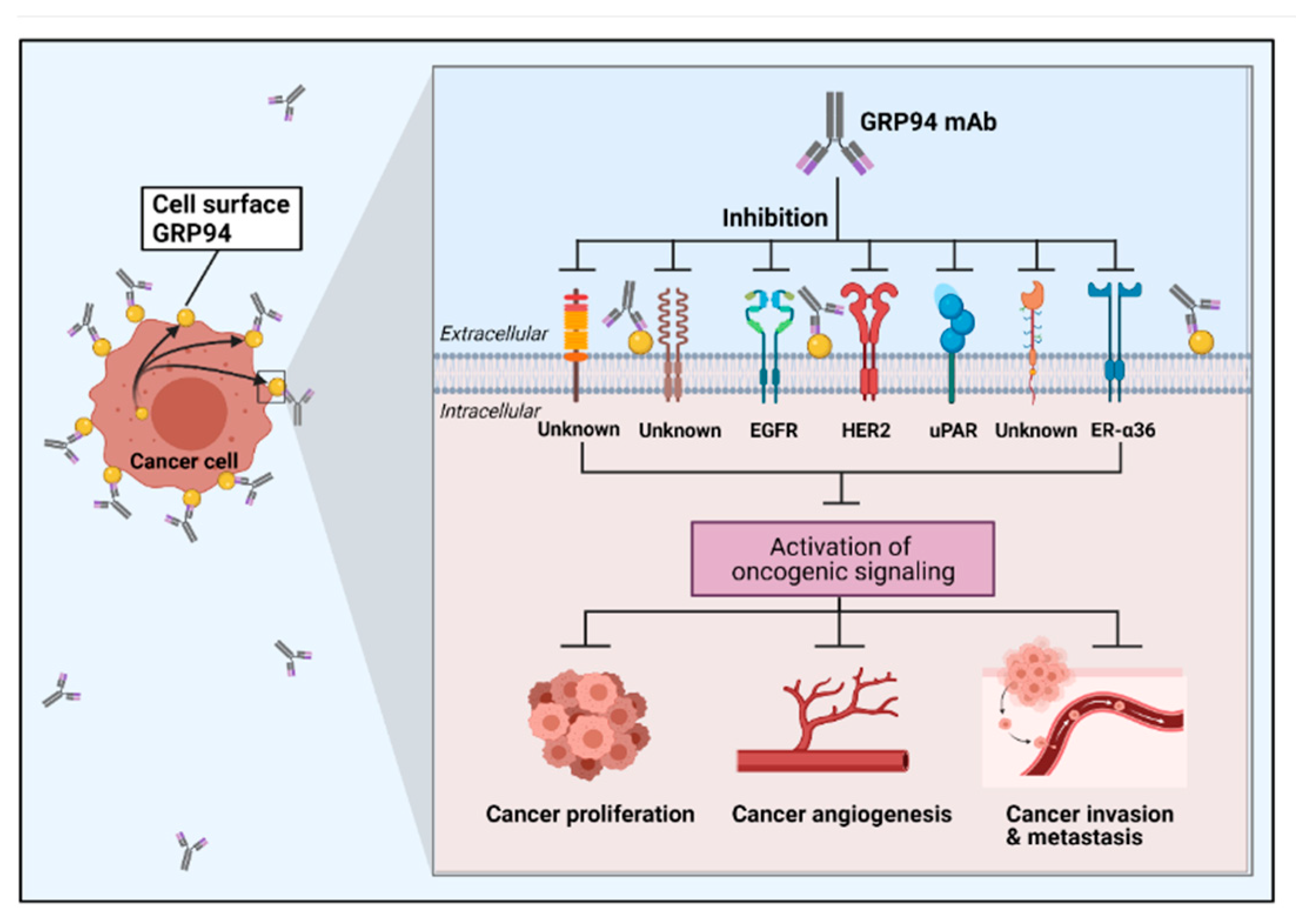 Cells 10 00670 g003 Cells 10 00670 g003