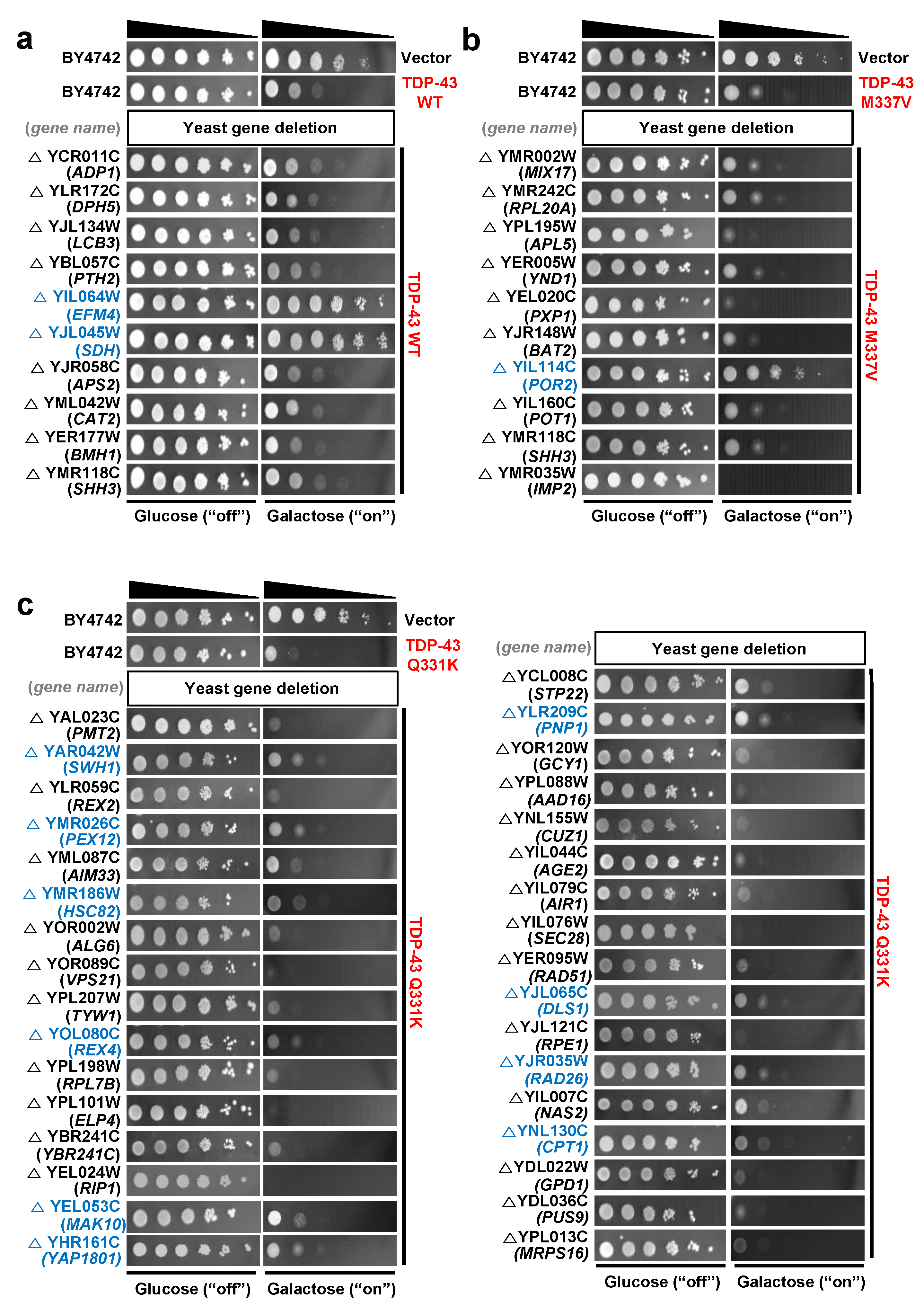 Cells 10 00676 g001 Cells 10 00676 g001
