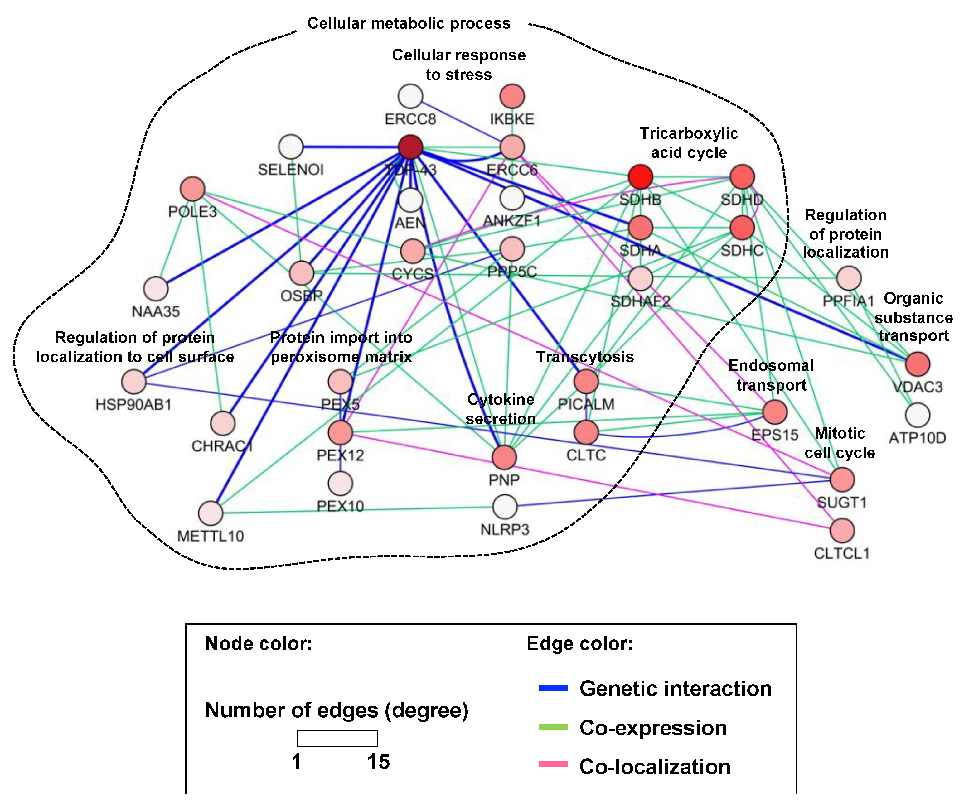 Cells 10 00676 g002 Cells 10 00676 g002