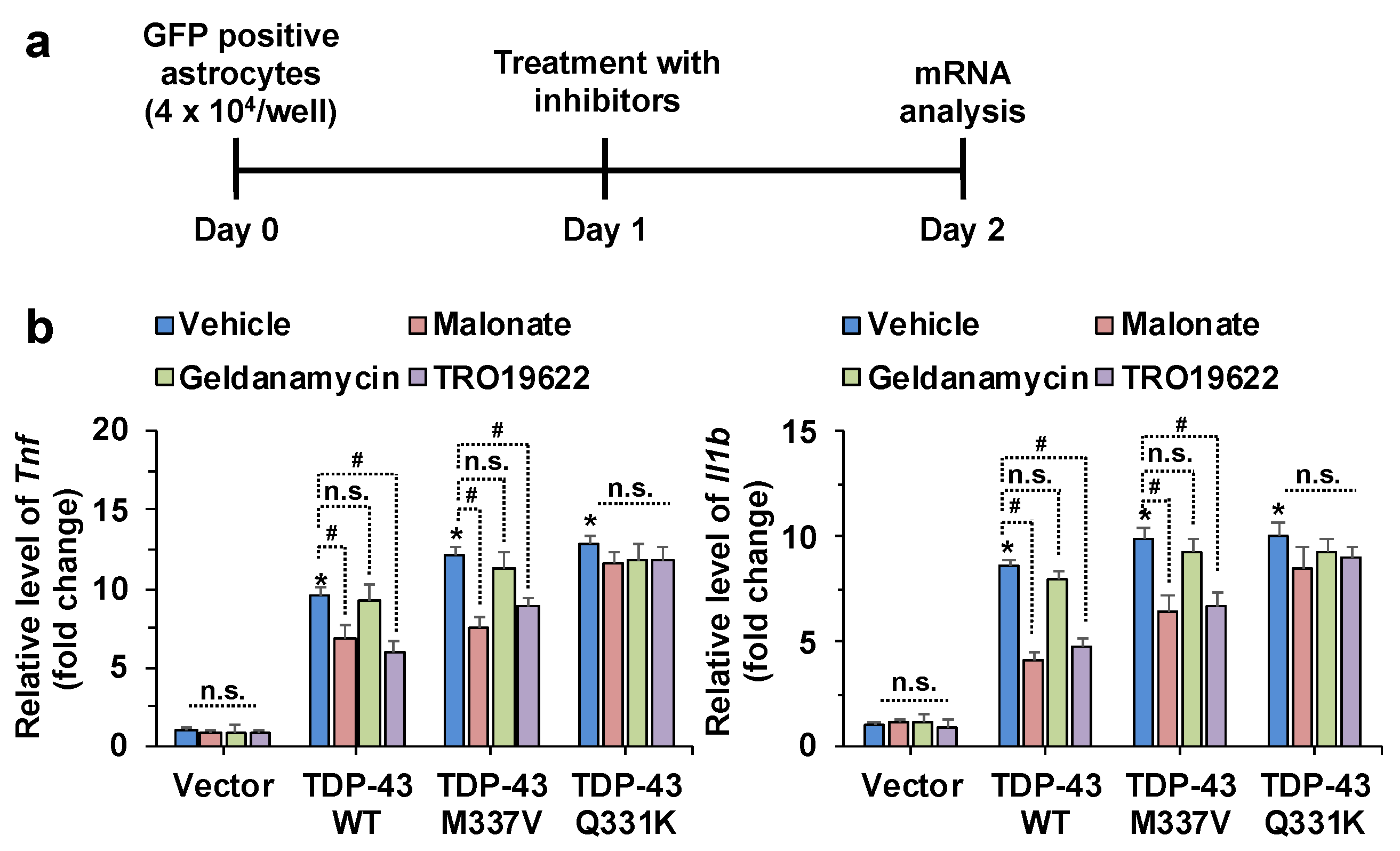 Cells 10 00676 g003 Cells 10 00676 g003