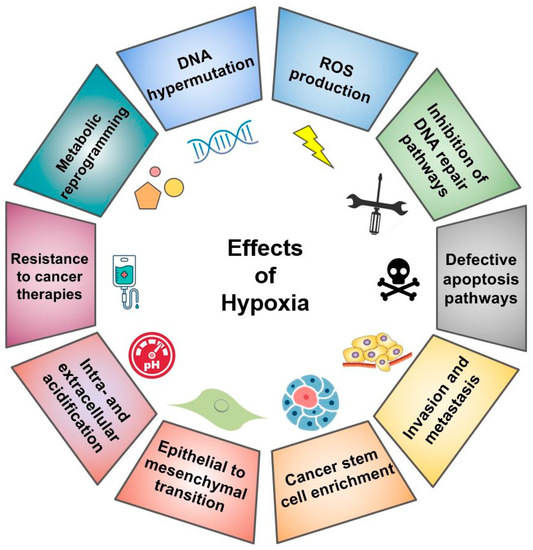 Hypoxia-Driven Effects in Cancer ... Biology Diagrams