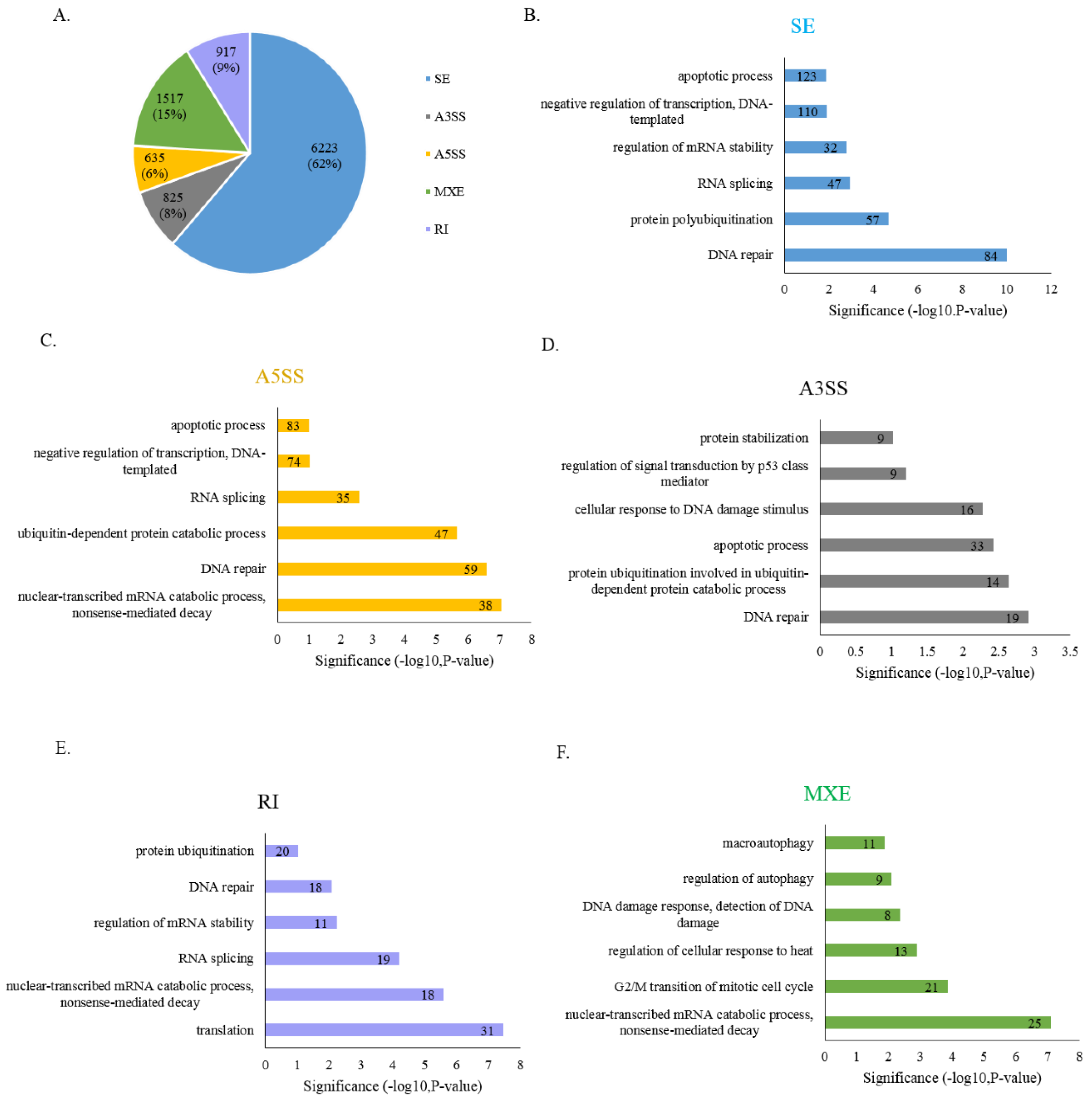 Cells 10 00679 g004 Cells 10 00679 g004