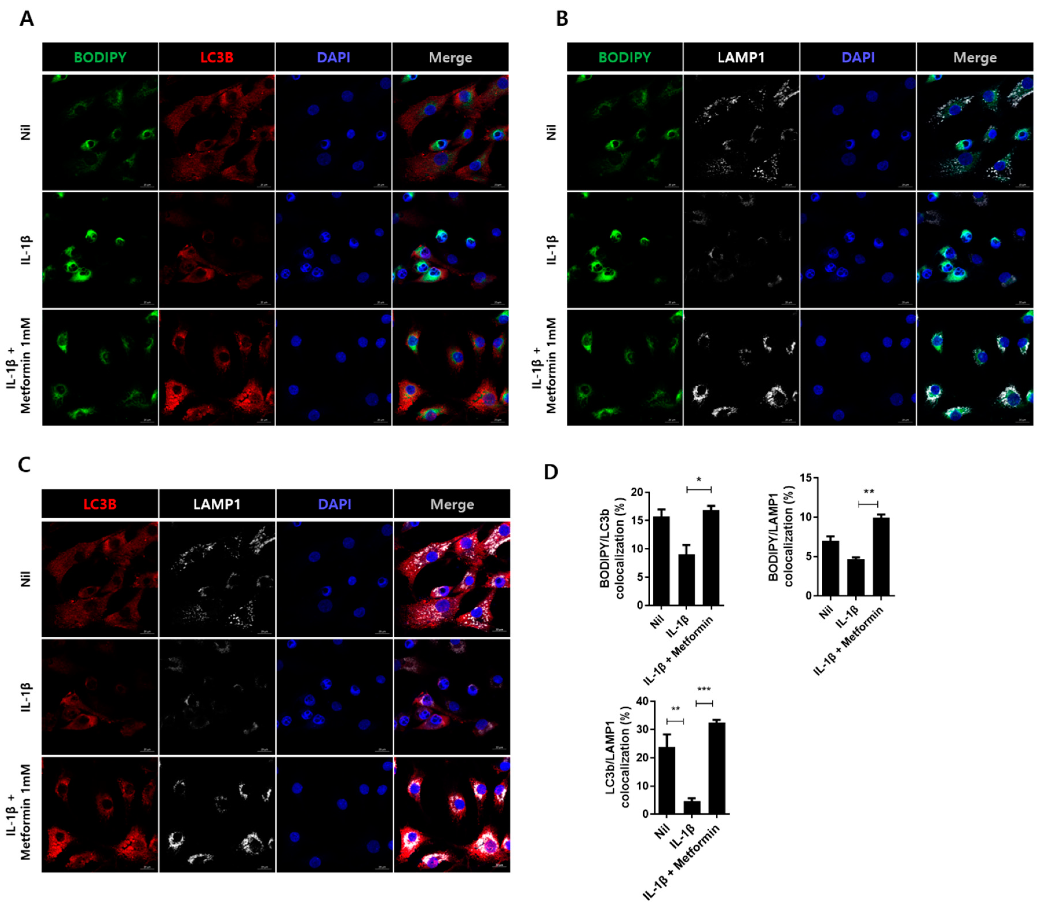 Cells 10 00681 g005 Cells 10 00681 g005