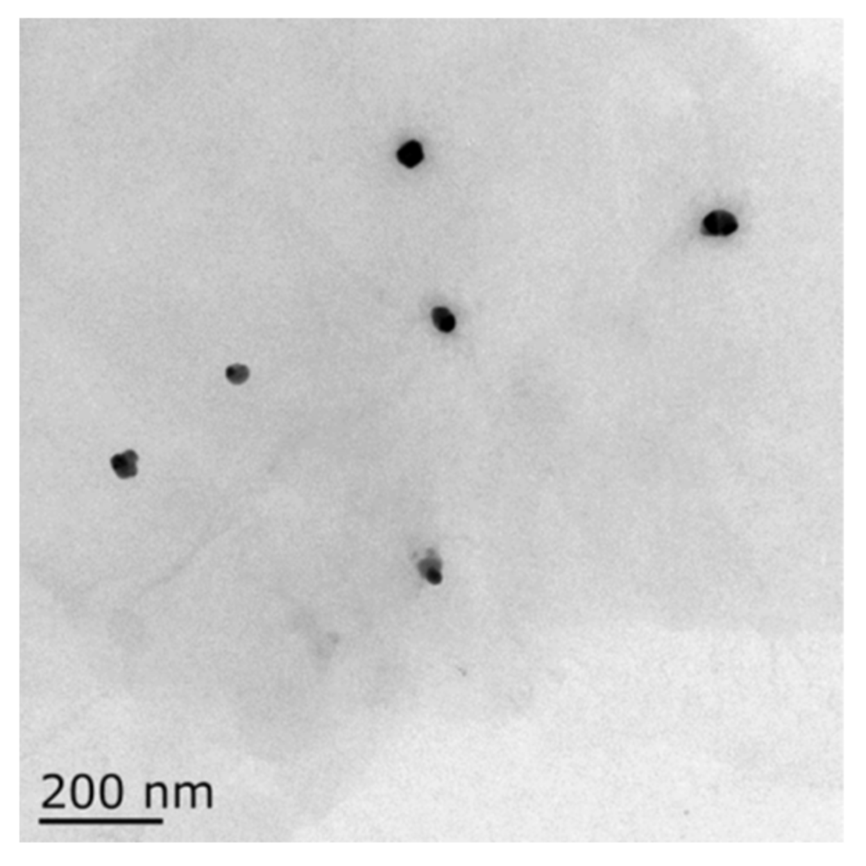 Cells 10 00682 g001 Cells 10 00682 g001