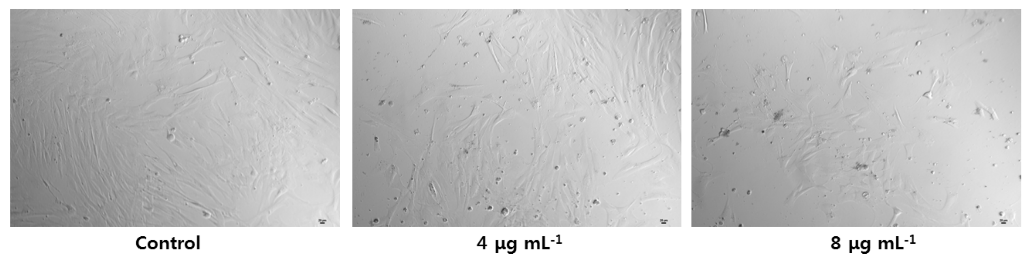 Cells 10 00682 g003 Cells 10 00682 g003