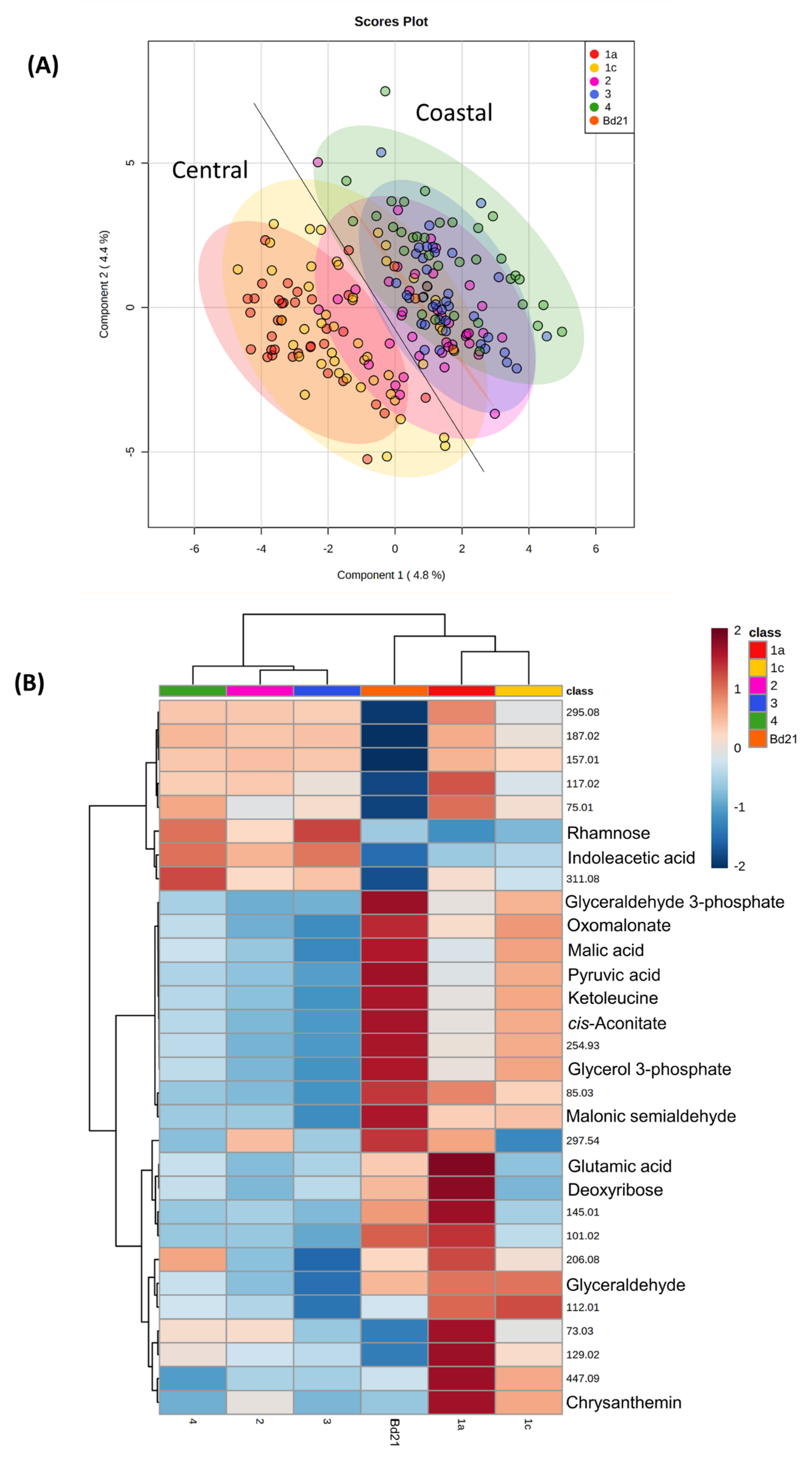 Cells 10 00683 g001 Cells 10 00683 g001