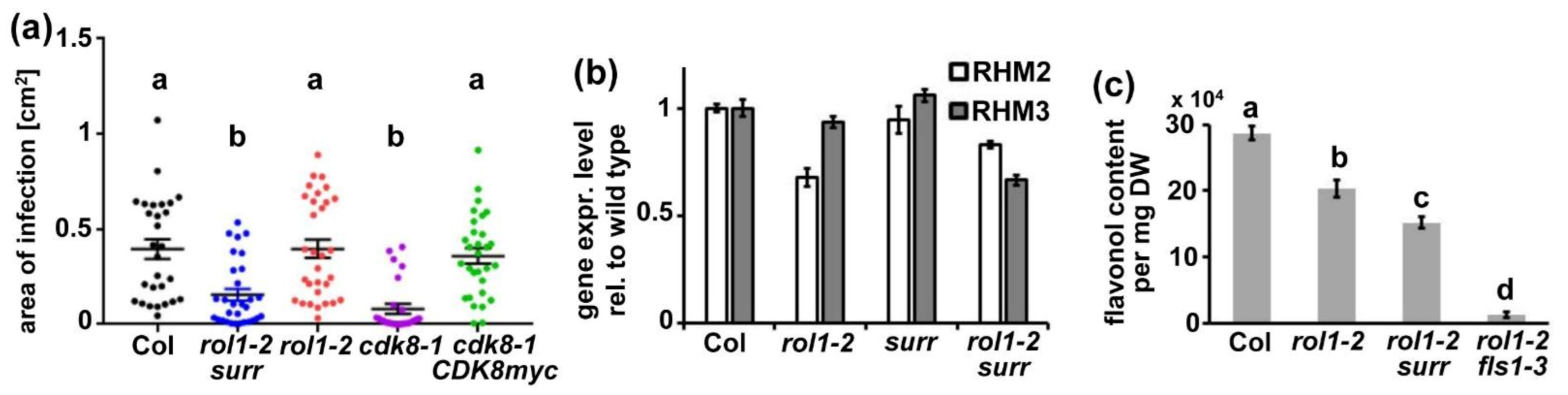 Cells 10 00685 g007 Cells 10 00685 g007