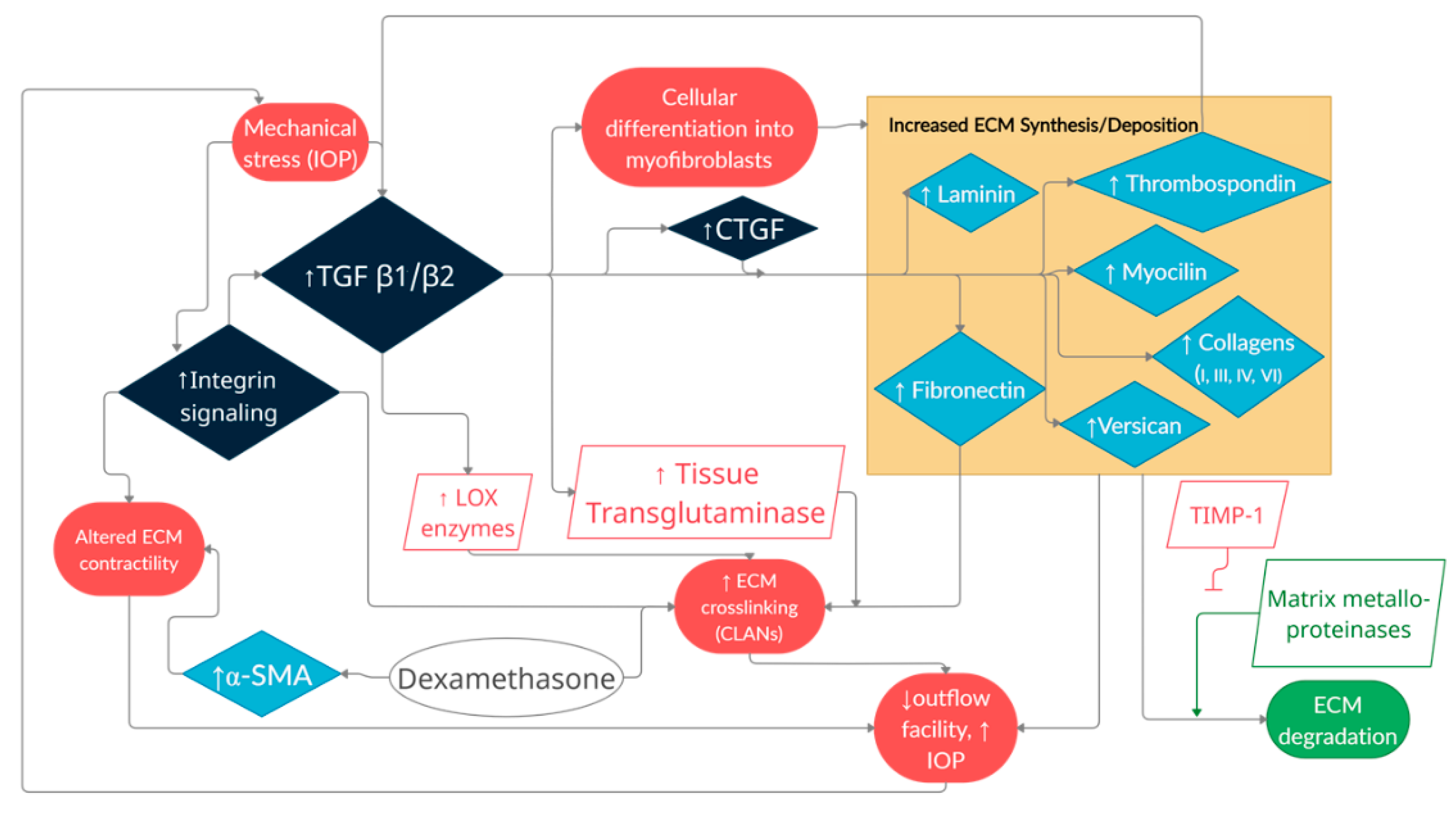 Cells 10 00687 g005 Cells 10 00687 g005