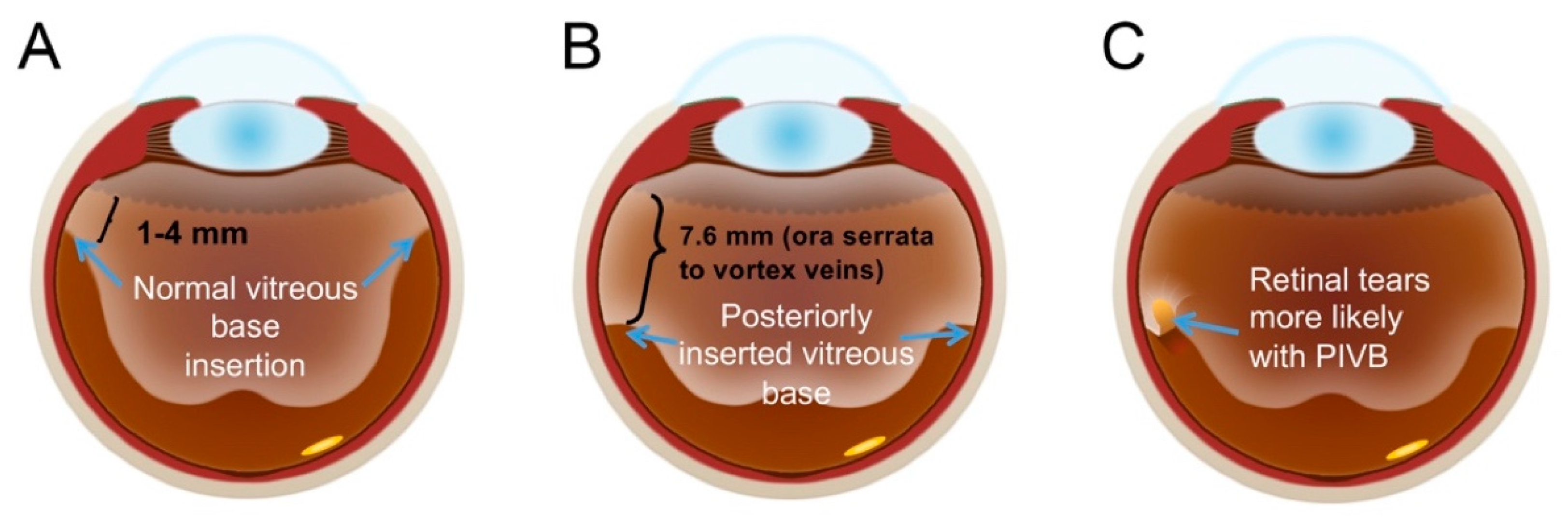 Cells 10 00687 g006 Cells 10 00687 g006