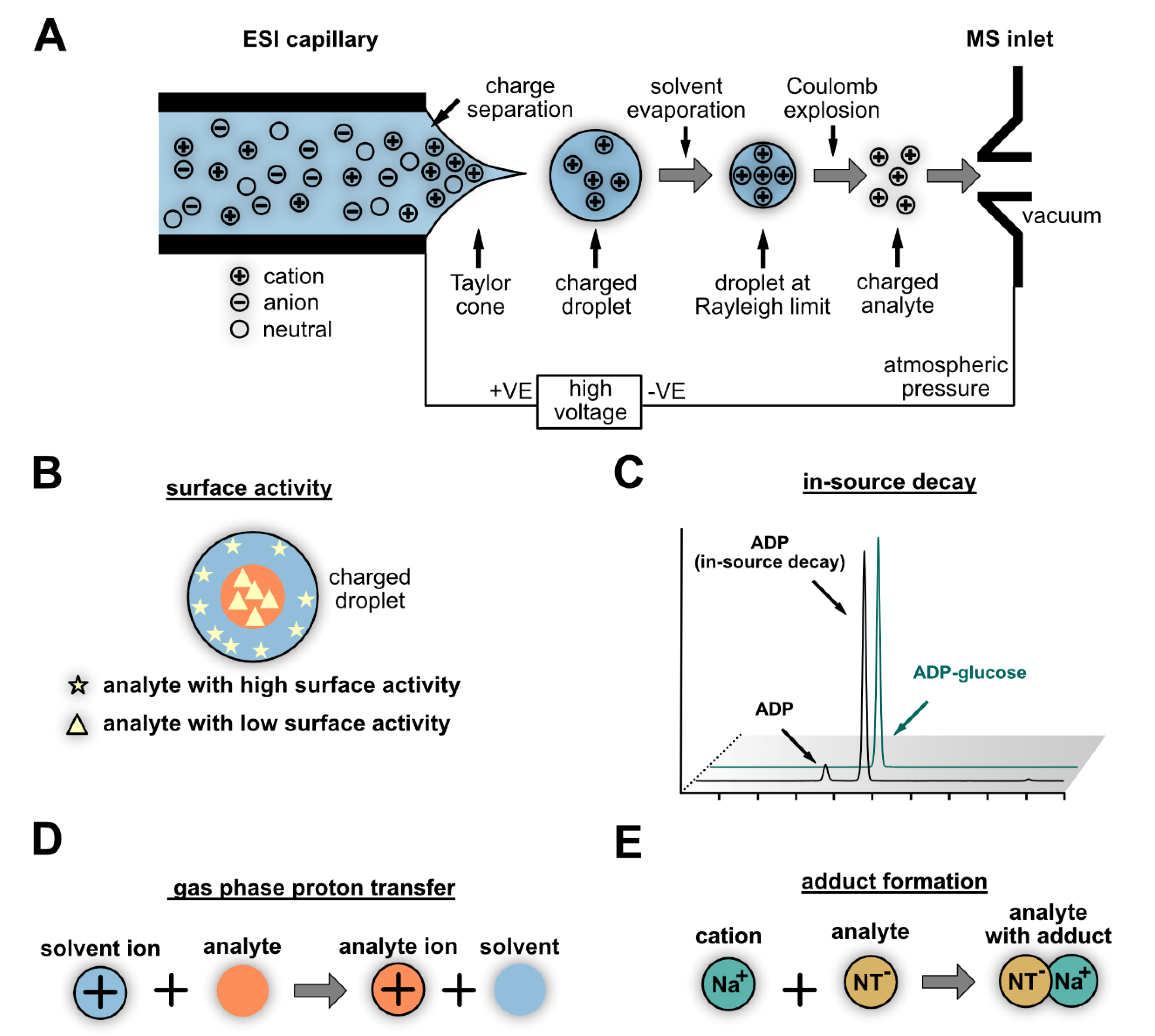 Cells 10 00689 g004 Cells 10 00689 g004