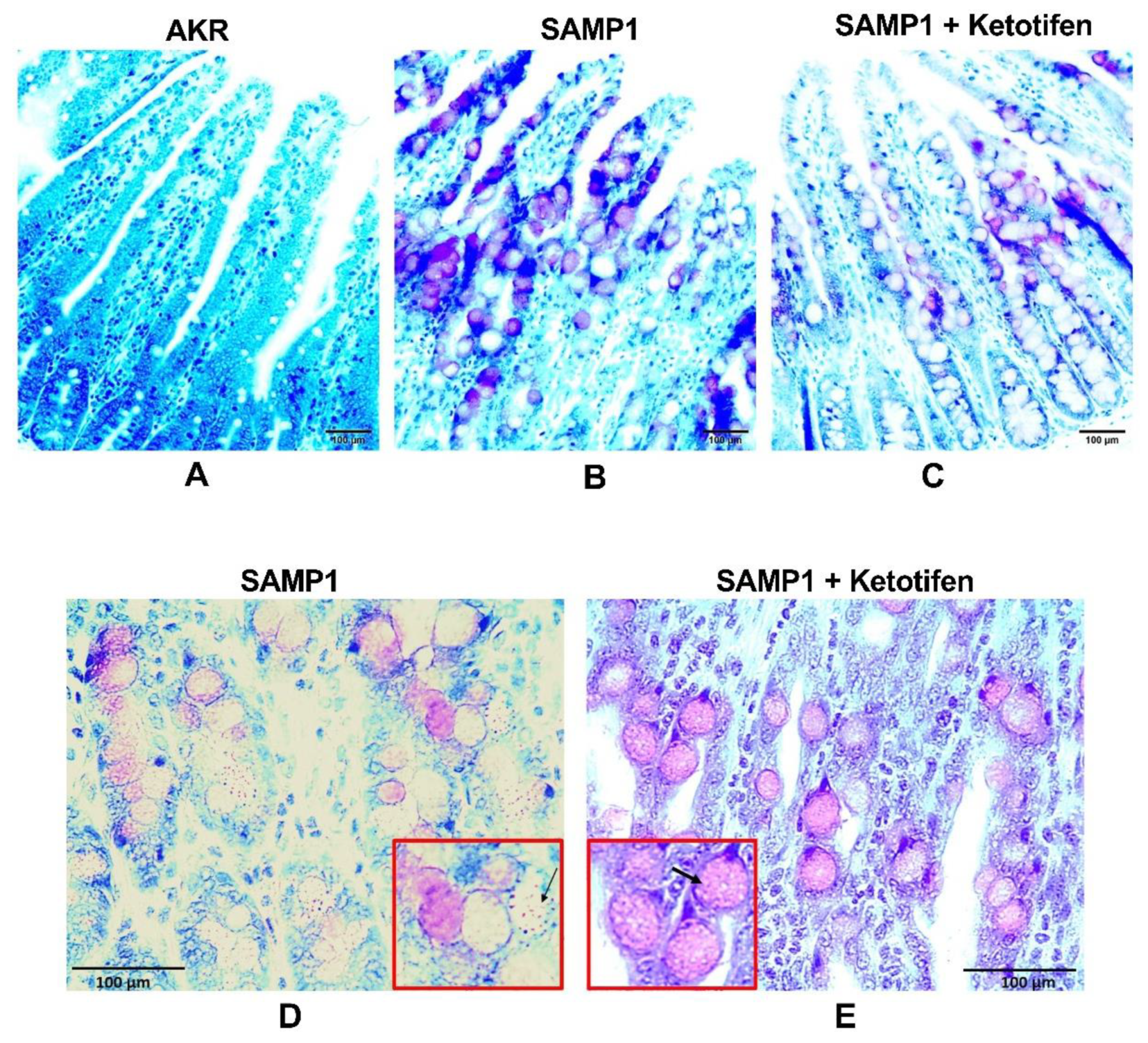 Cells 10 00697 g001 Cells 10 00697 g001