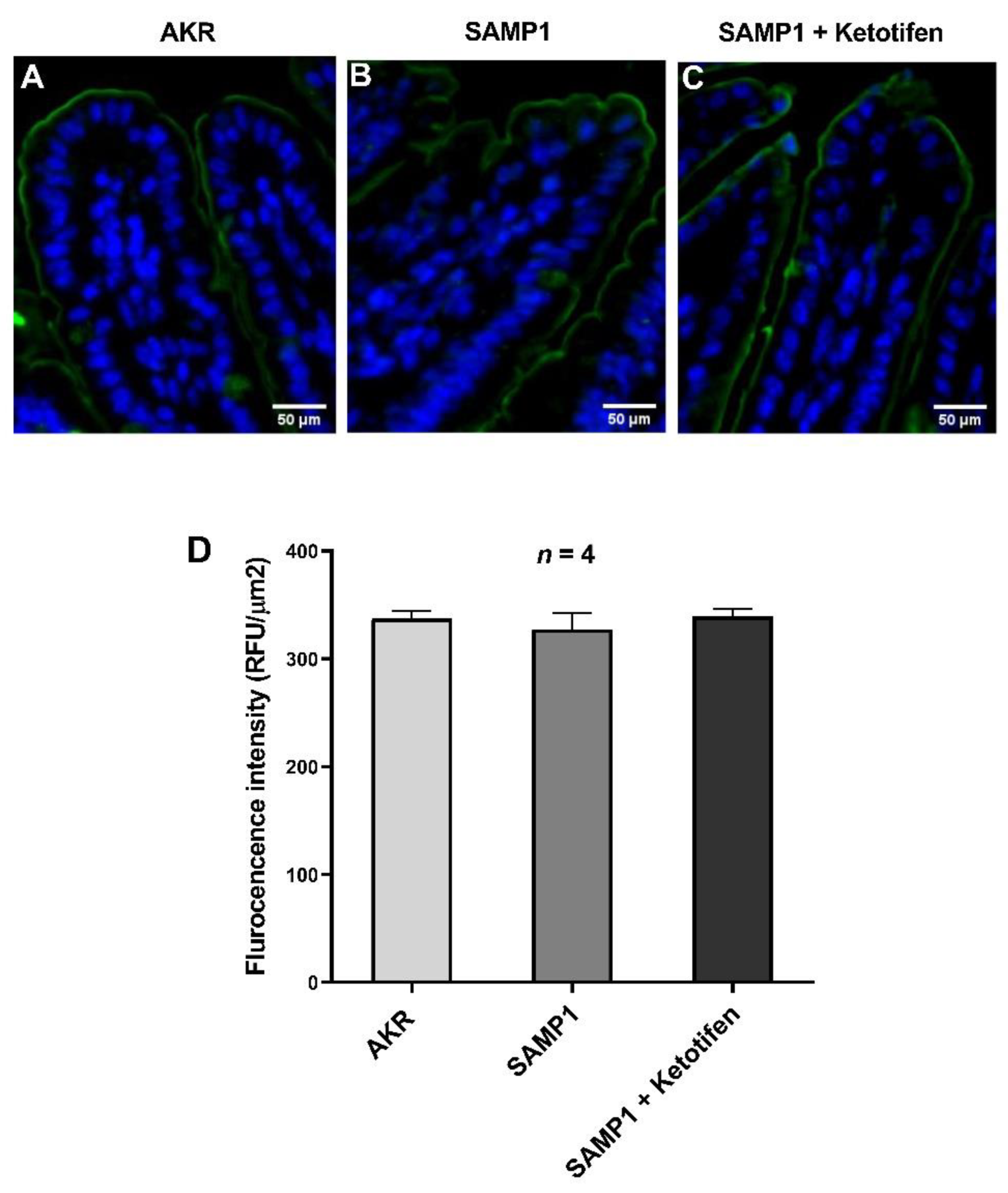 Cells 10 00697 g008 Cells 10 00697 g008