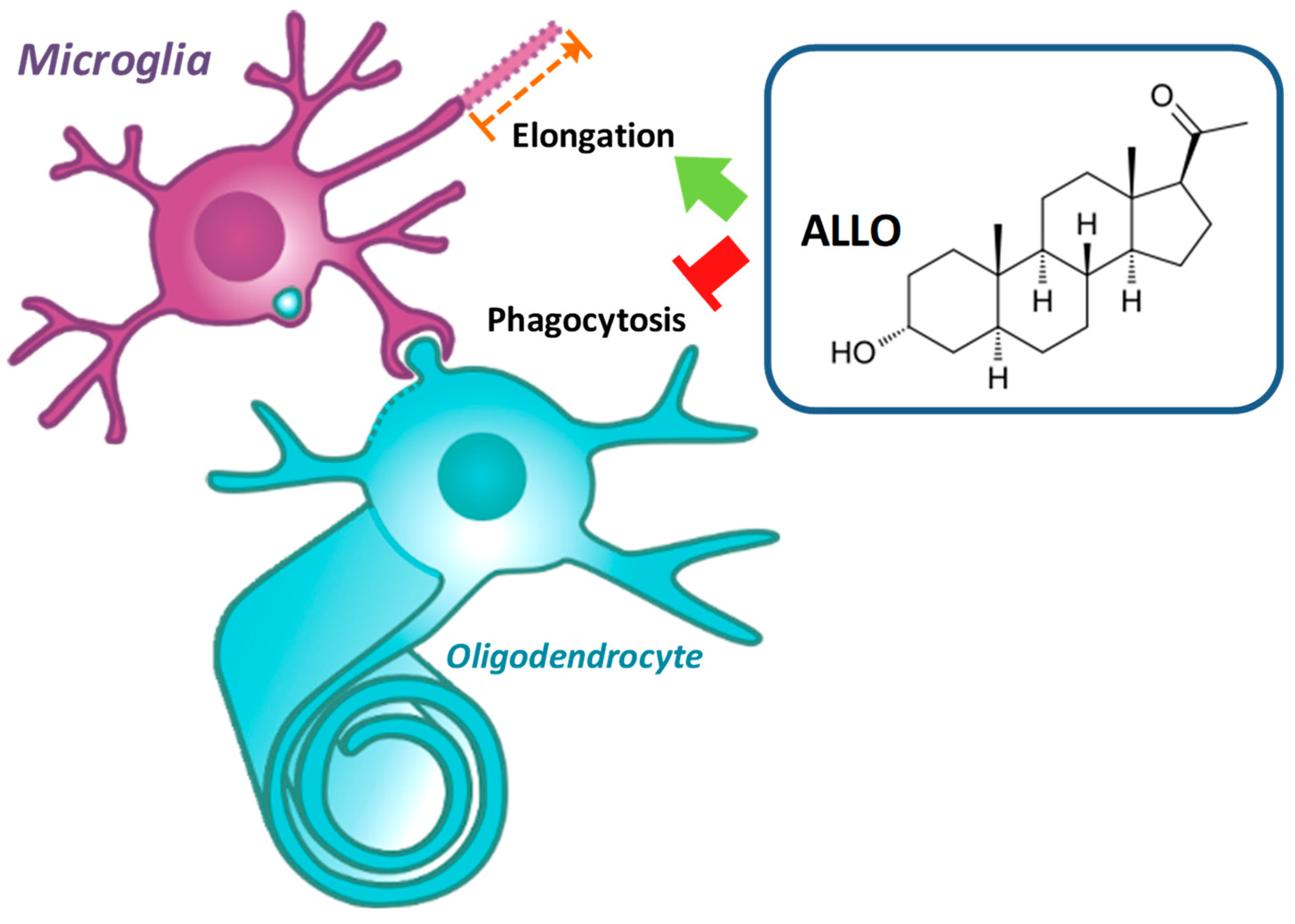 Cells 10 00698 g009 Cells 10 00698 g009