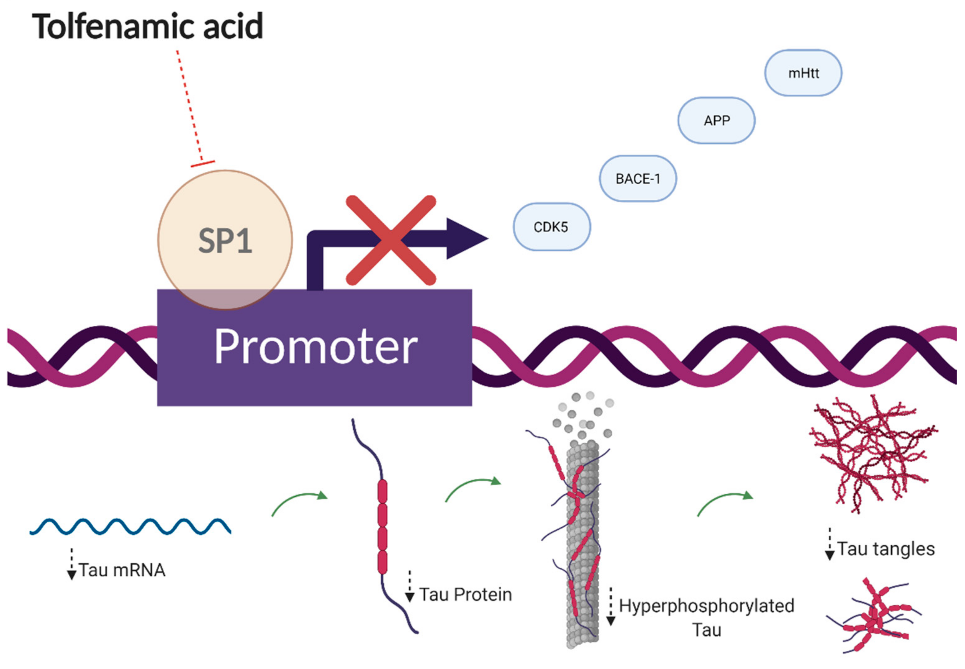 Cells 10 00702 g002 Cells 10 00702 g002