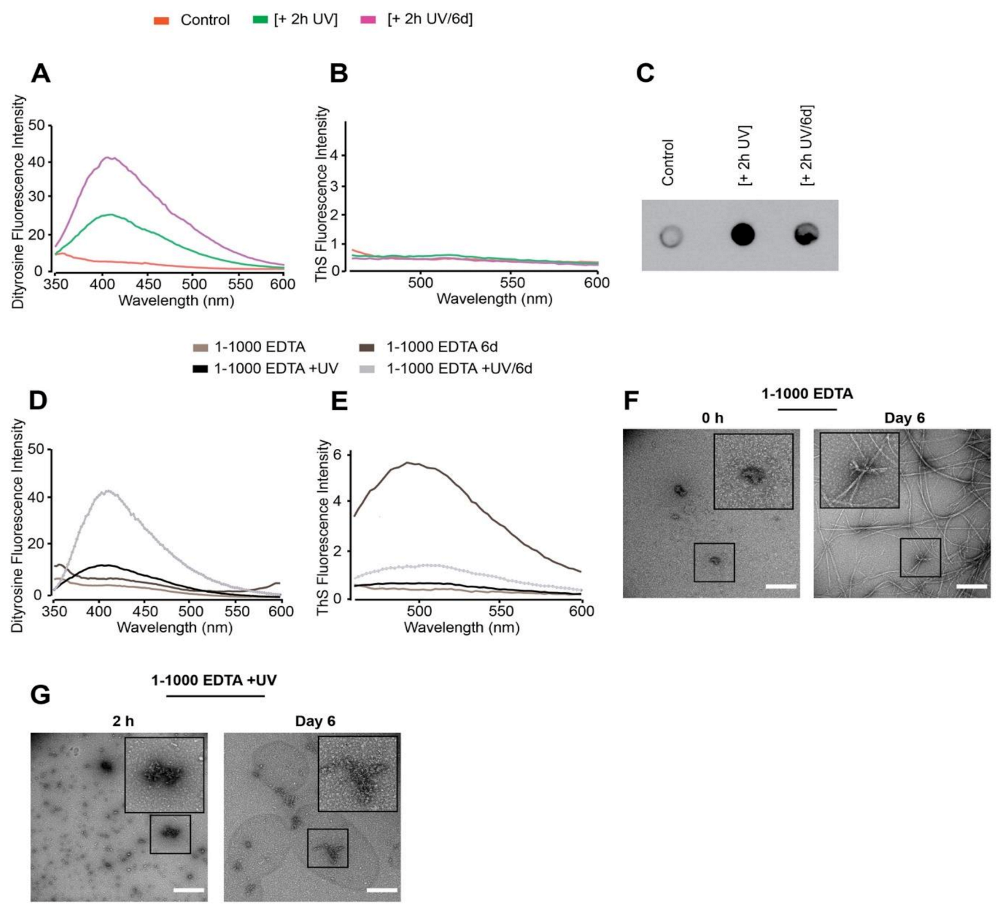Cells 10 00703 g005 Cells 10 00703 g005