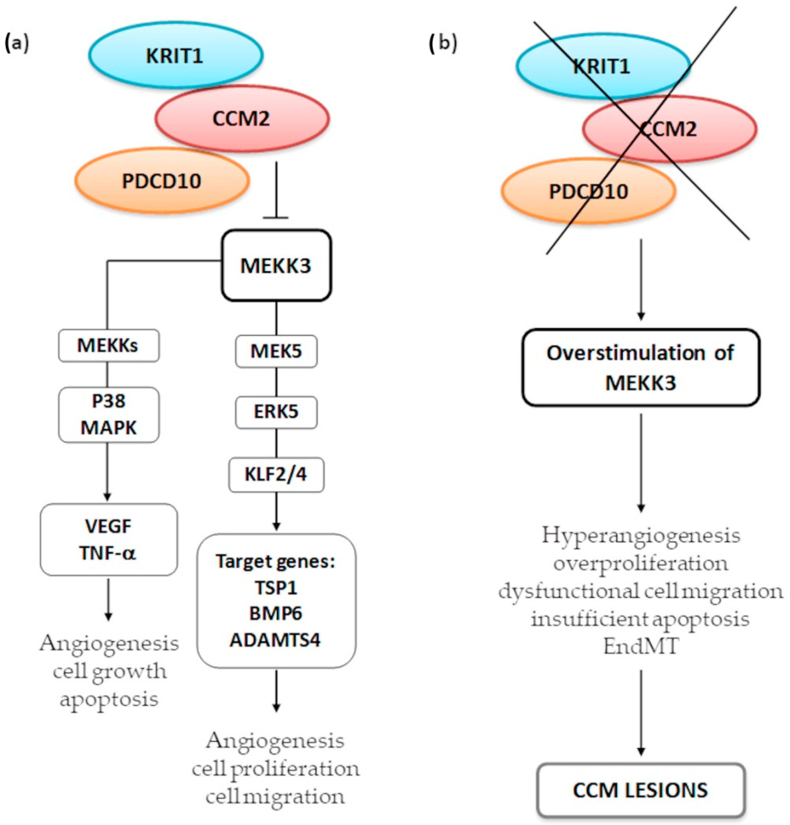 Cells 10 00704 g005 Cells 10 00704 g005