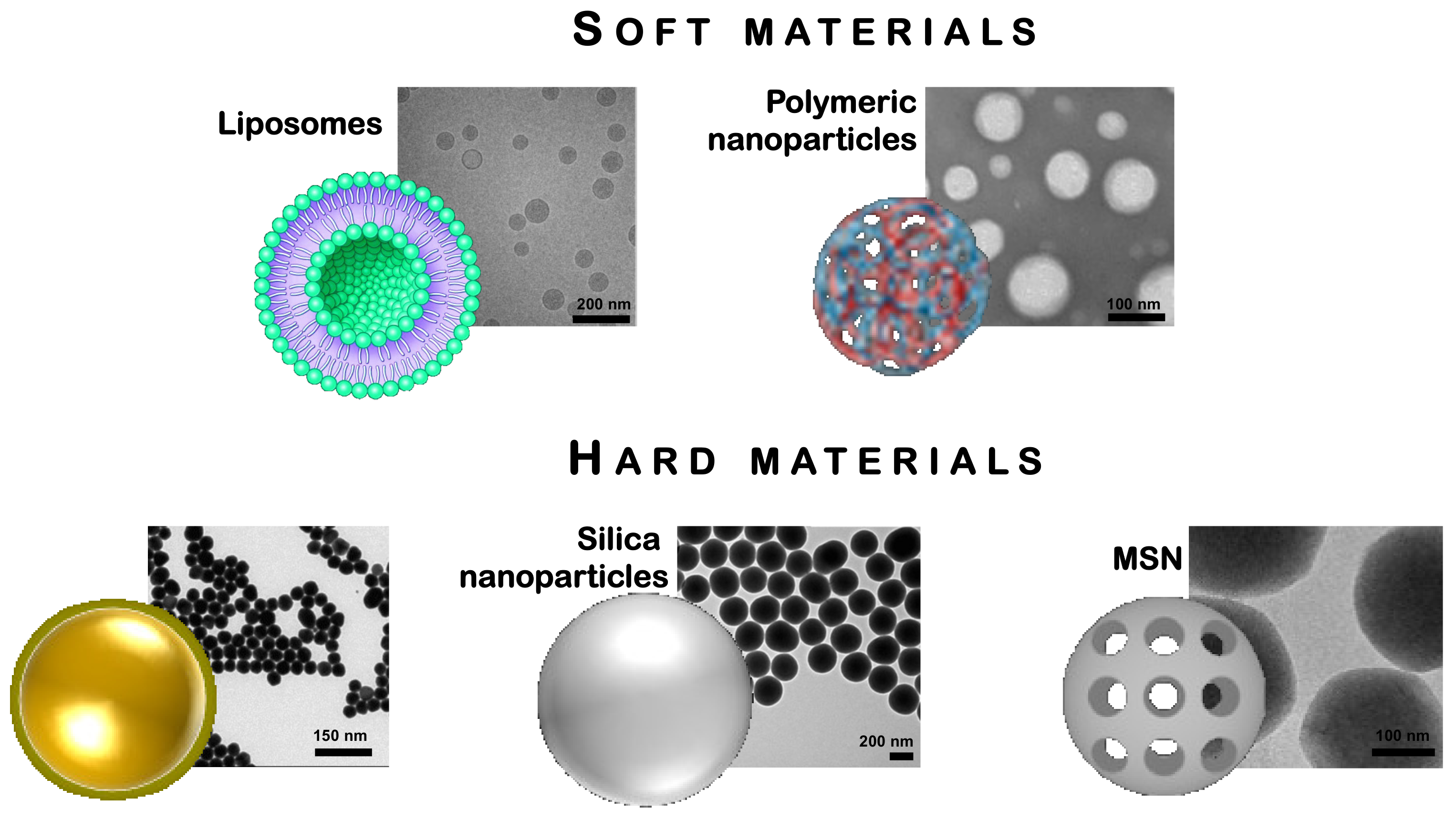 Cells 10 00707 g001 Cells 10 00707 g001
