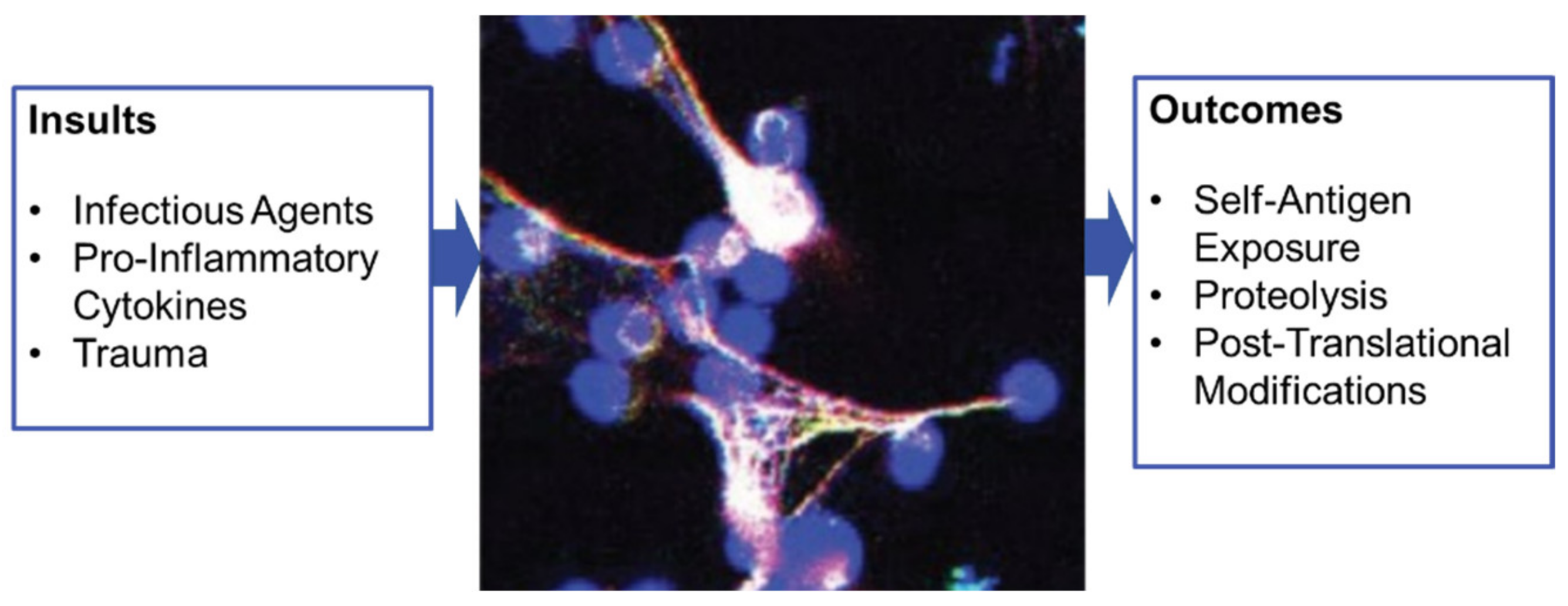 Cells 10 00707 g003 Cells 10 00707 g003