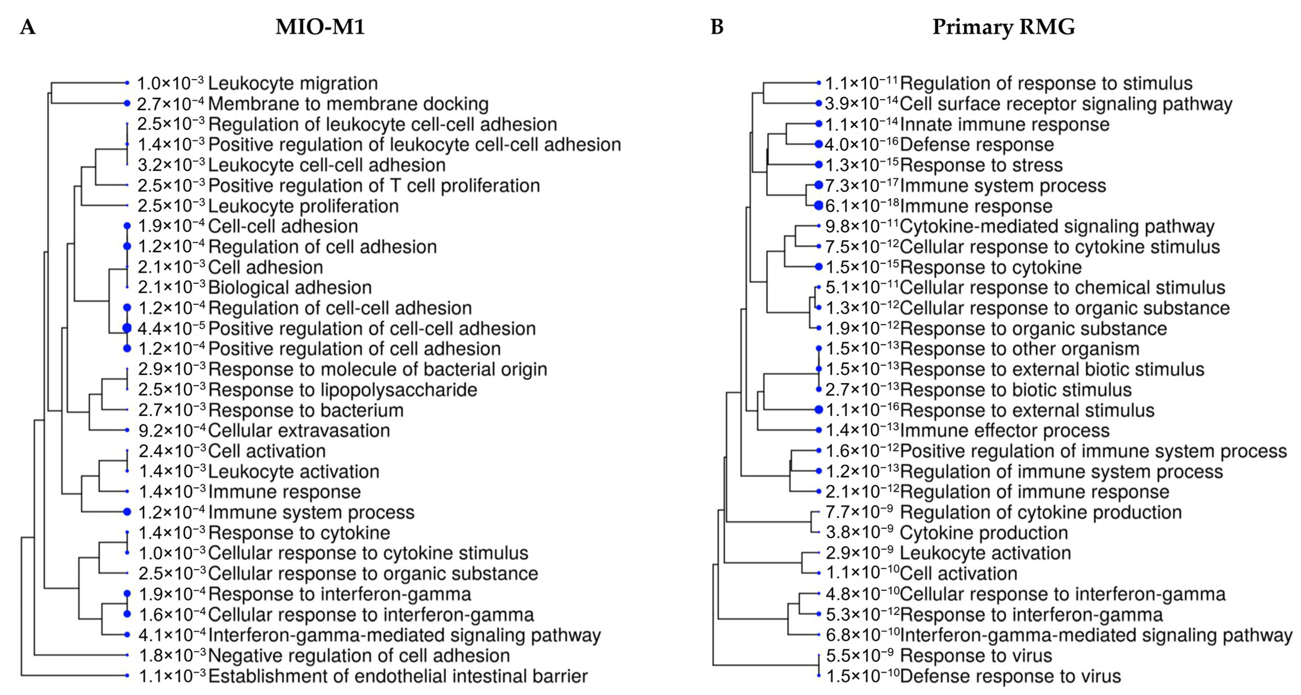 Cells 10 00711 g002 Cells 10 00711 g002