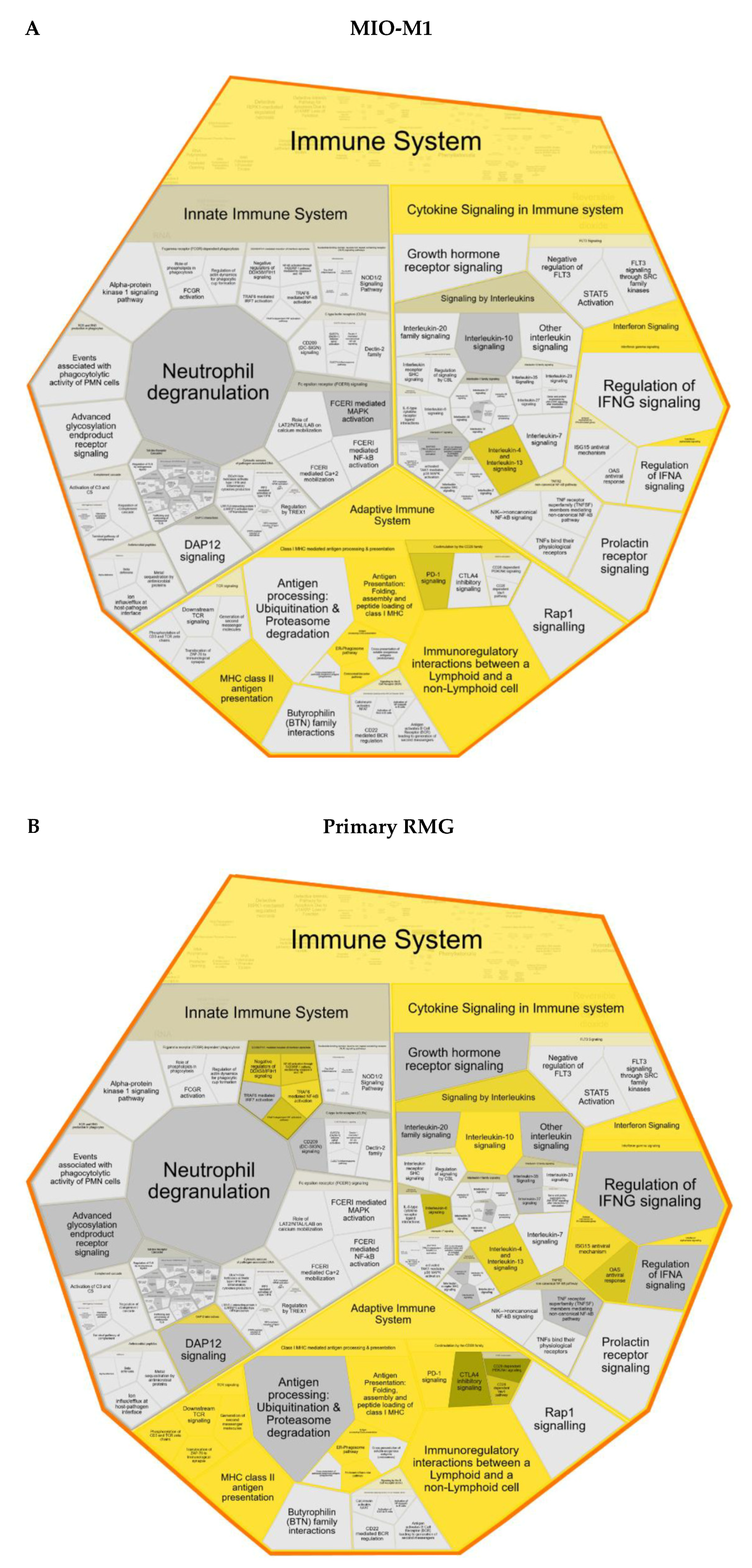 Cells 10 00711 g003 Cells 10 00711 g003