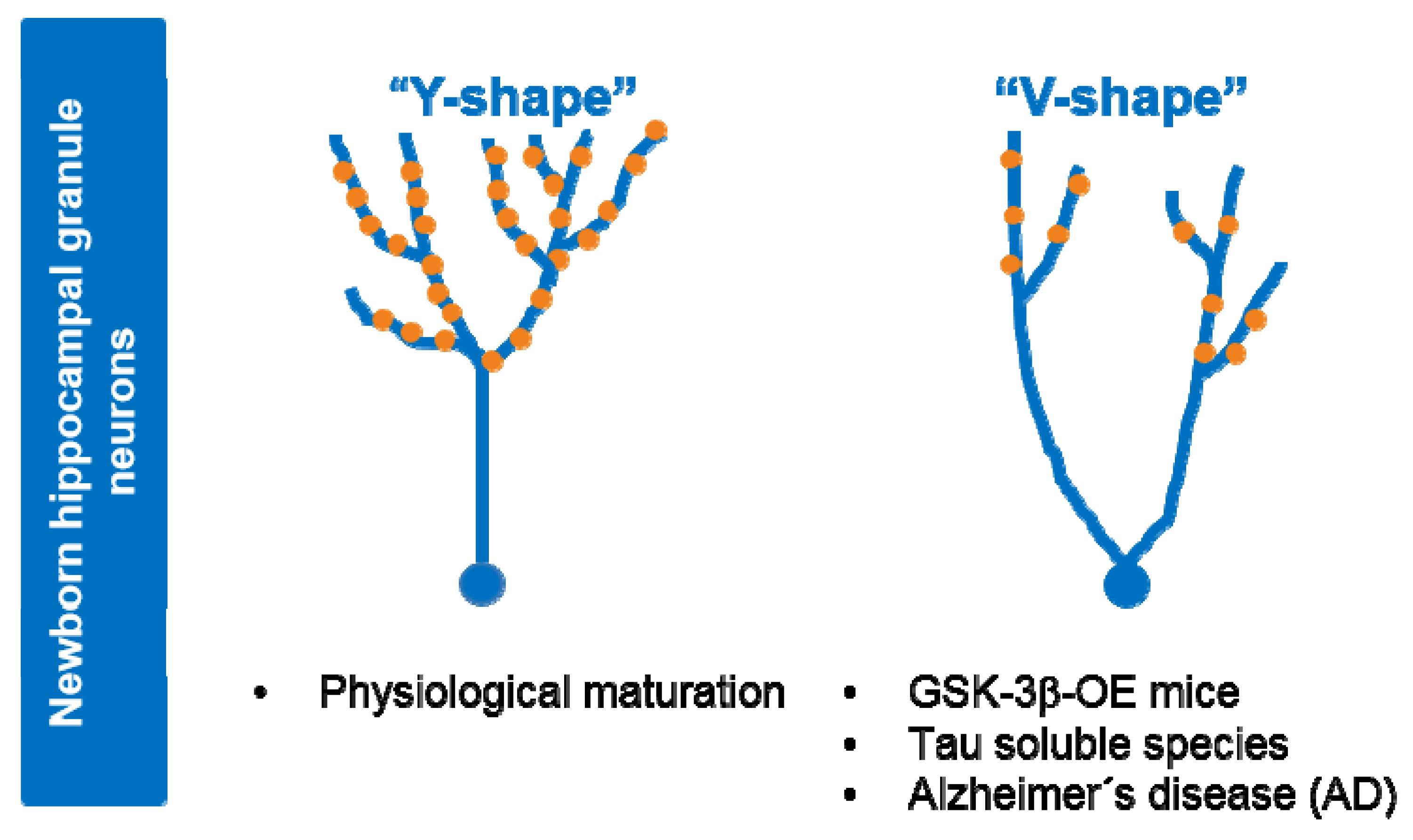 Cells 10 00721 g003 Cells 10 00721 g003