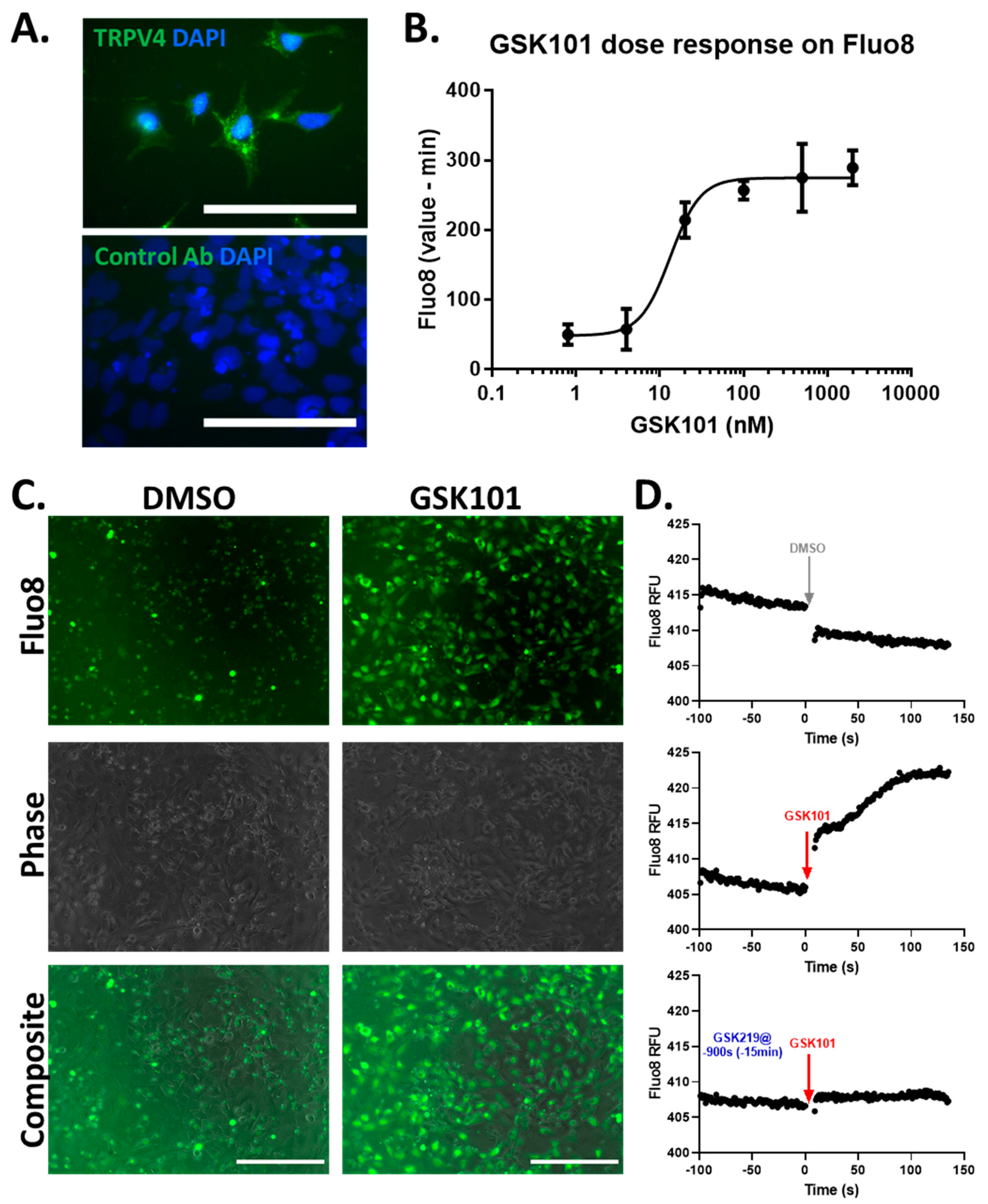 Cells 10 00726 g001 Cells 10 00726 g001