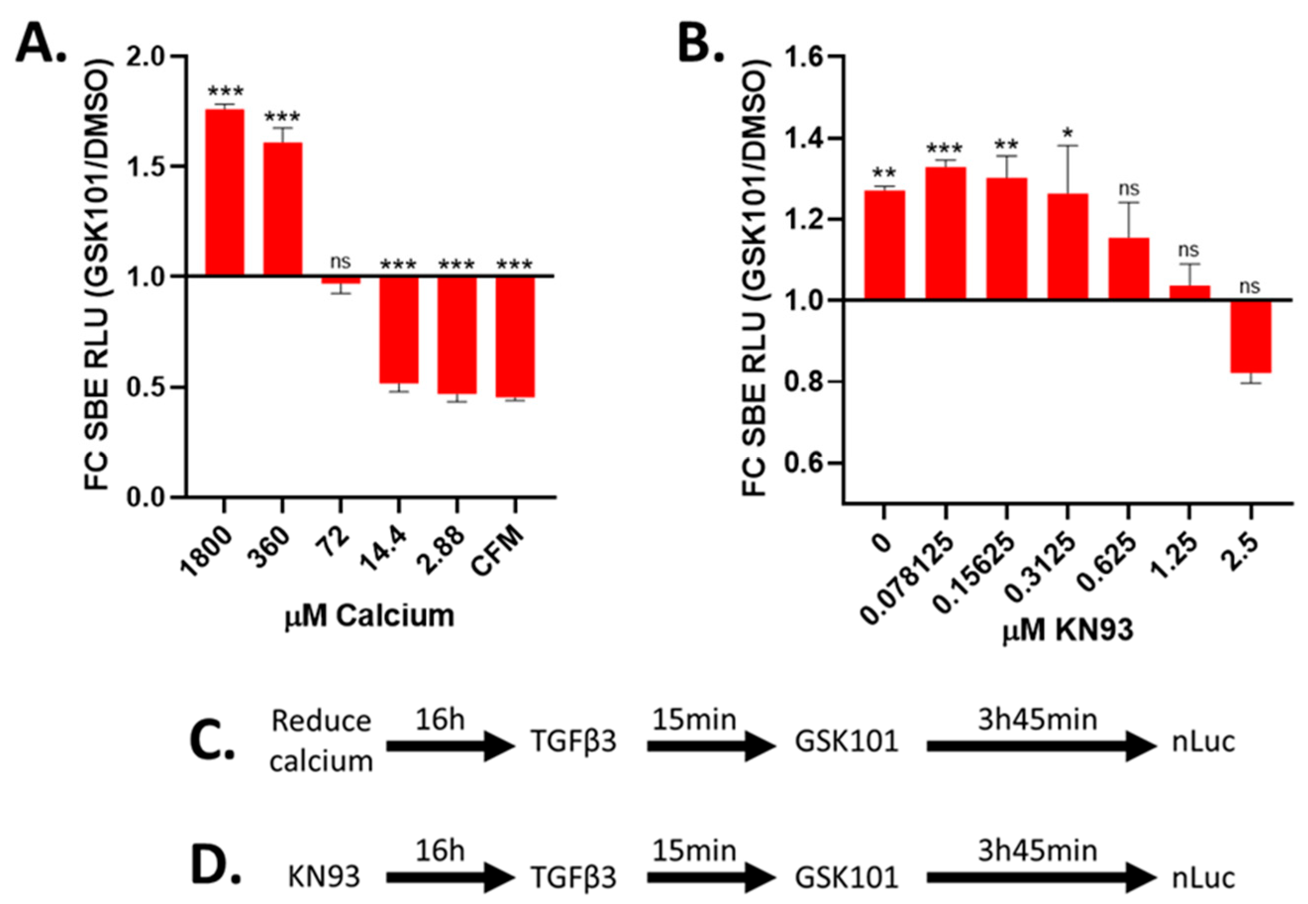 Cells 10 00726 g004 Cells 10 00726 g004