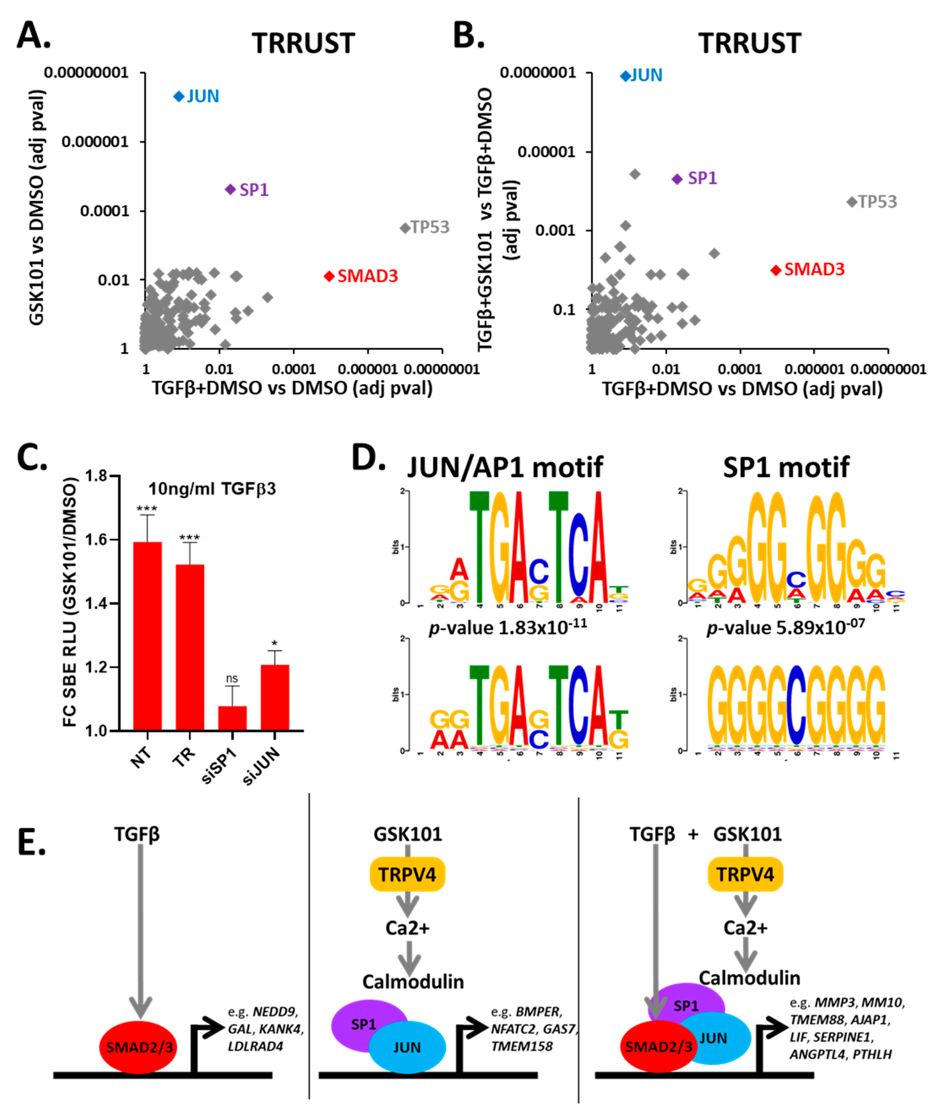 Cells 10 00726 g005 Cells 10 00726 g005