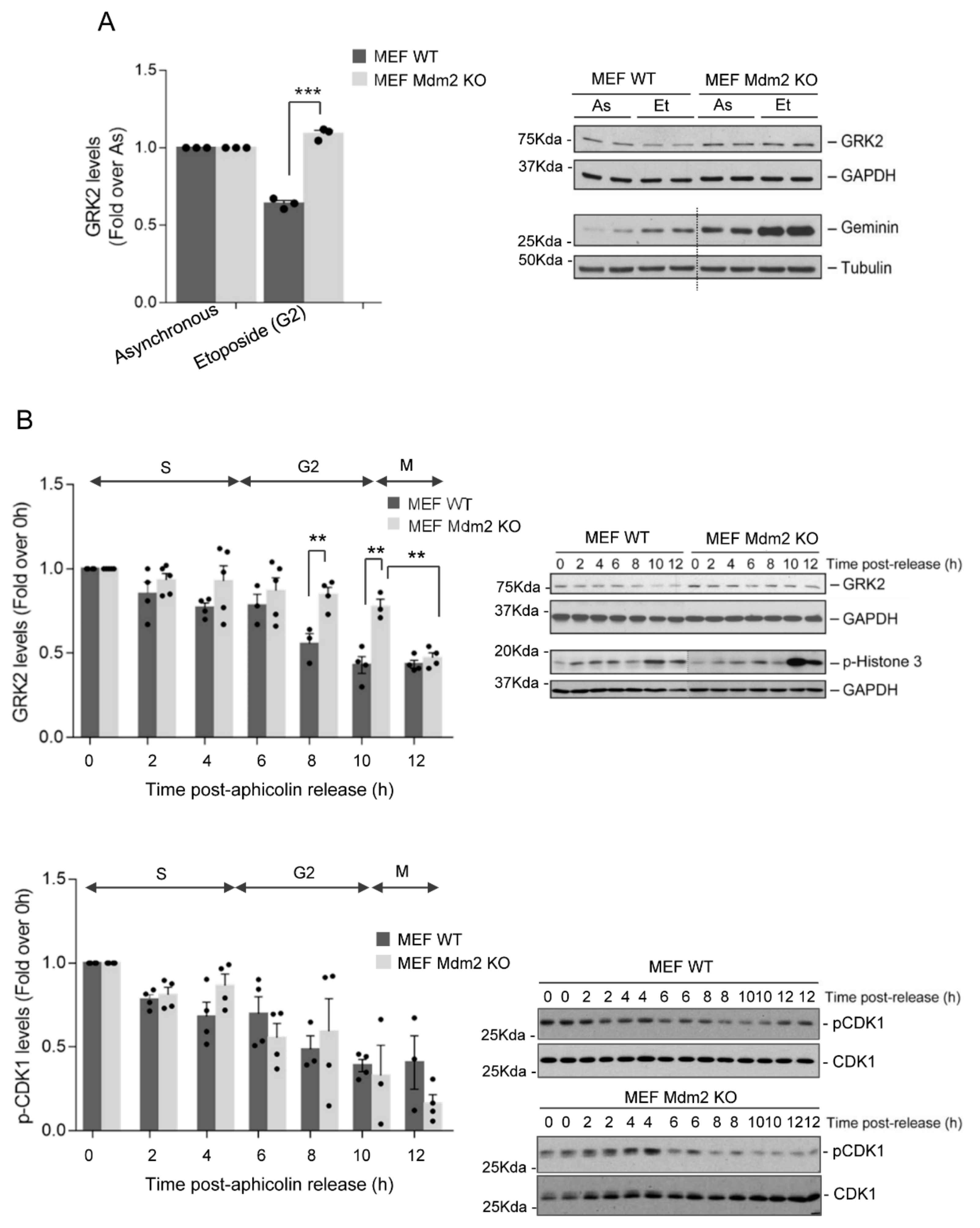 Cells 10 00729 g001 Cells 10 00729 g001