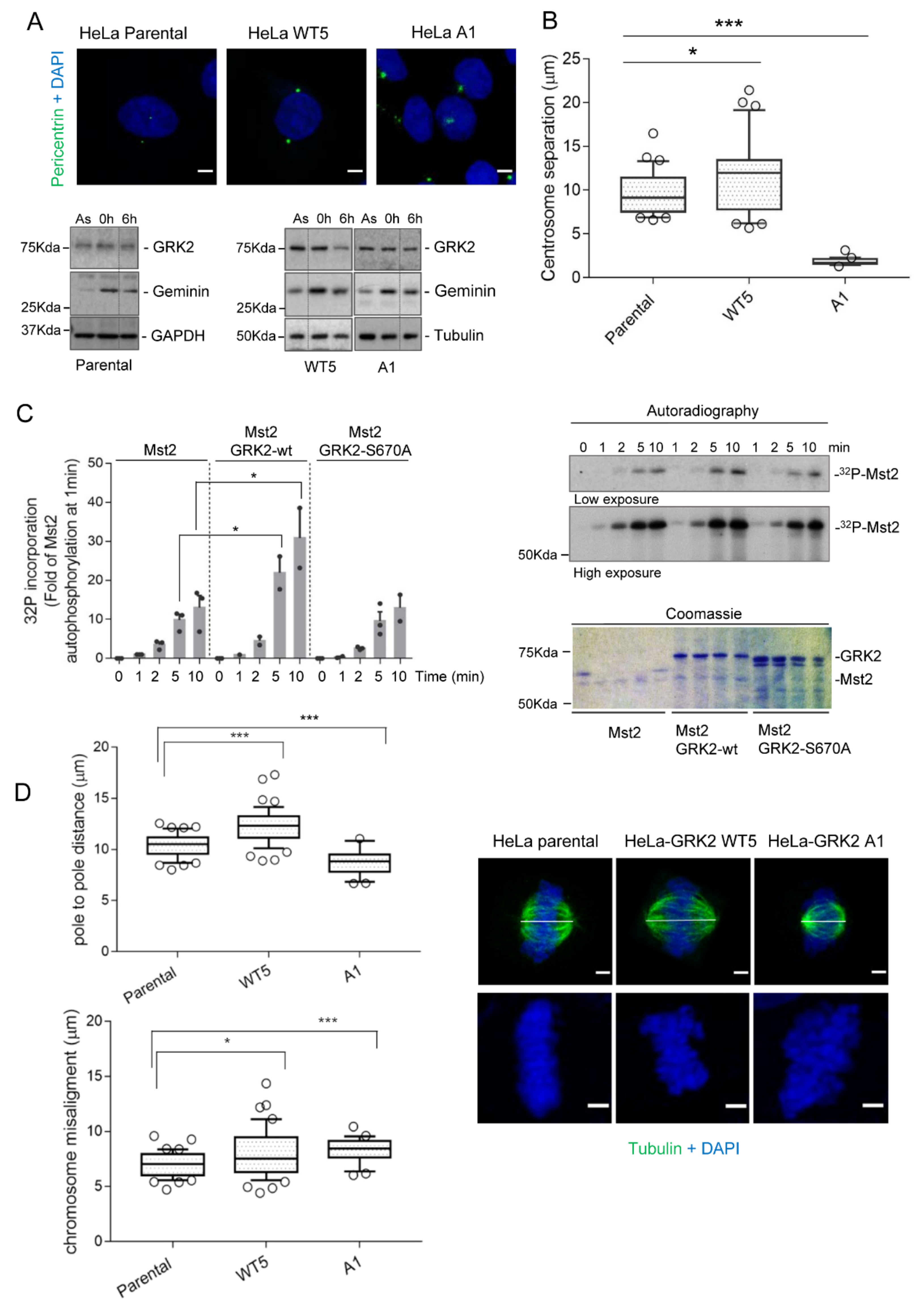 Cells 10 00729 g005 Cells 10 00729 g005