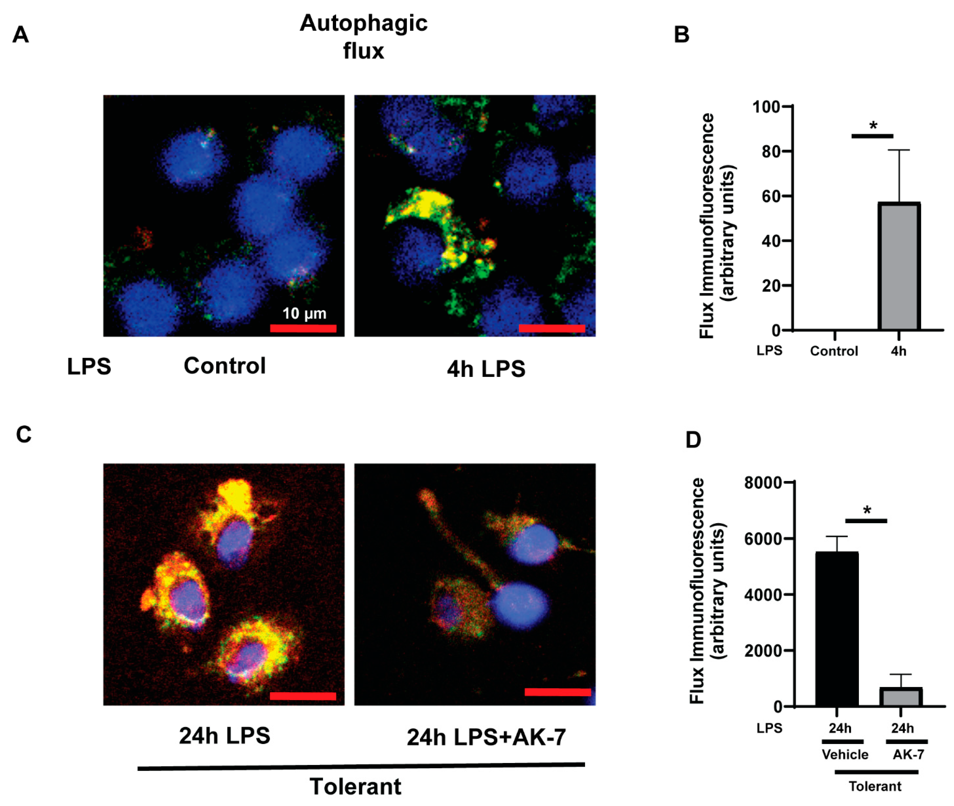 Cells 10 00731 g008 Cells 10 00731 g008