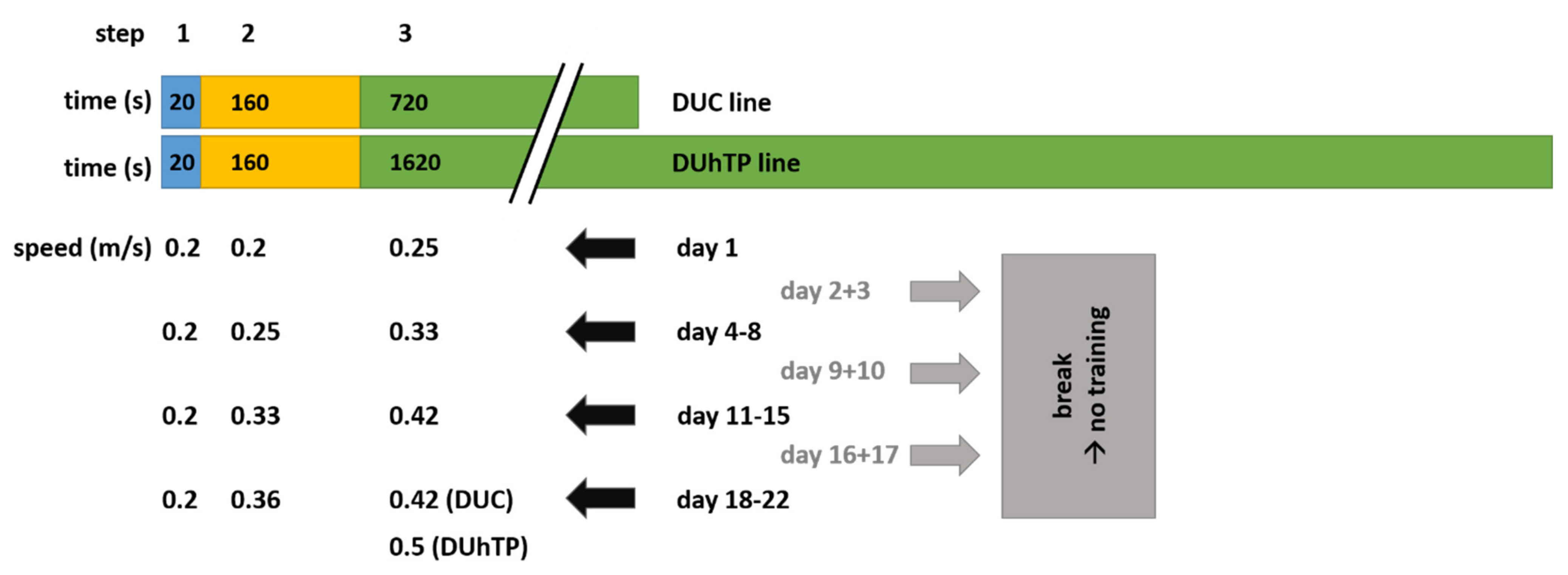 Cells 10 00736 g001 Cells 10 00736 g001
