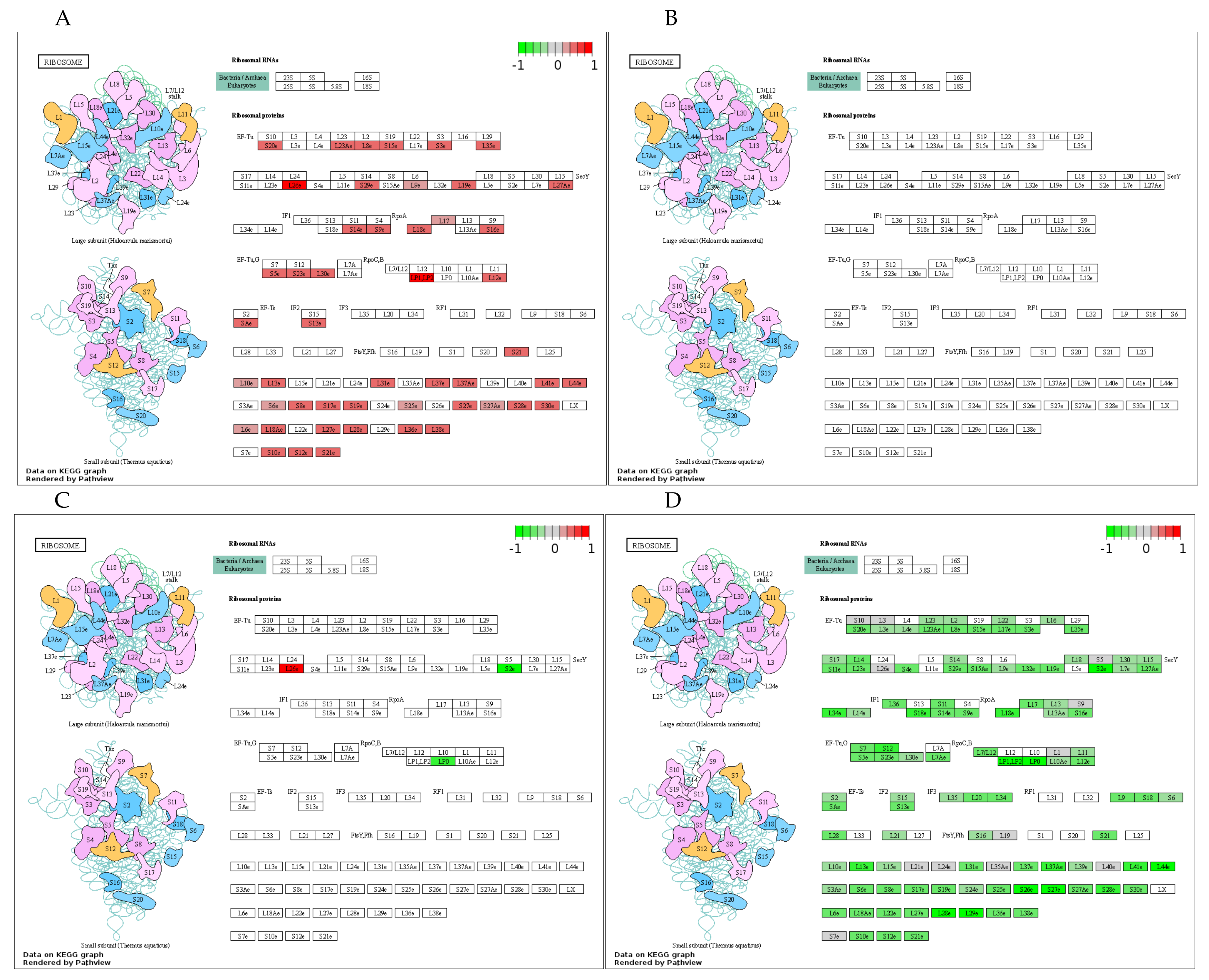 Cells 10 00736 g005 Cells 10 00736 g005