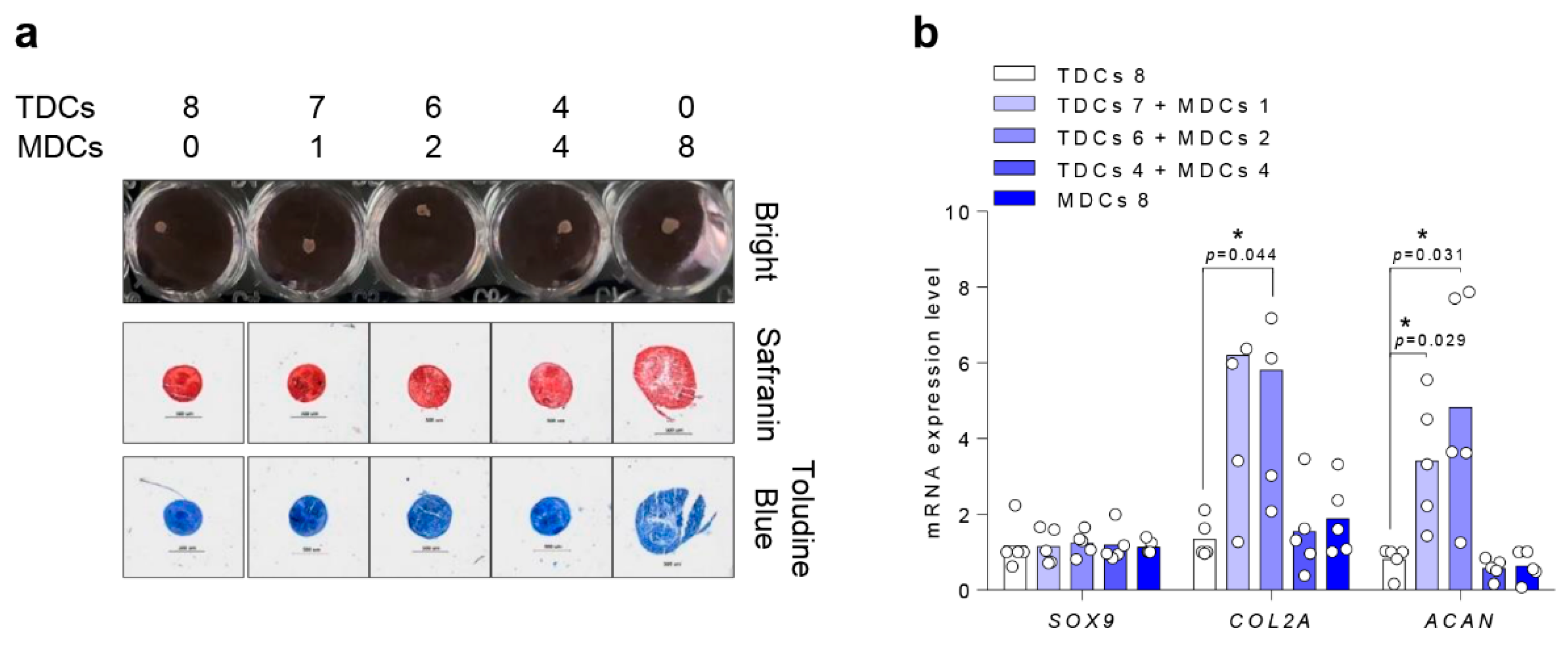 Cells 10 00740 g004 Cells 10 00740 g004