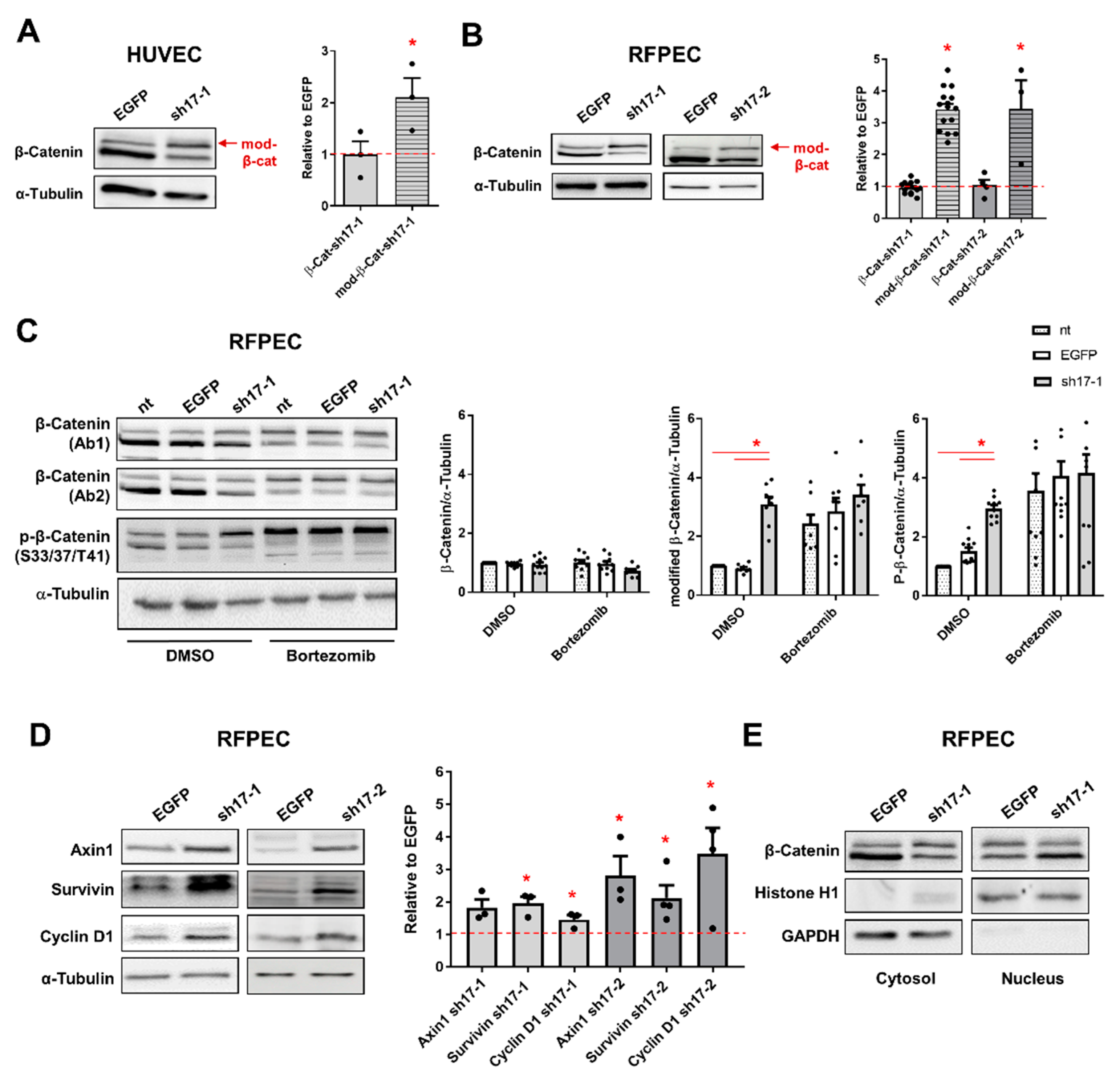 Cells 10 00741 g003 Cells 10 00741 g003