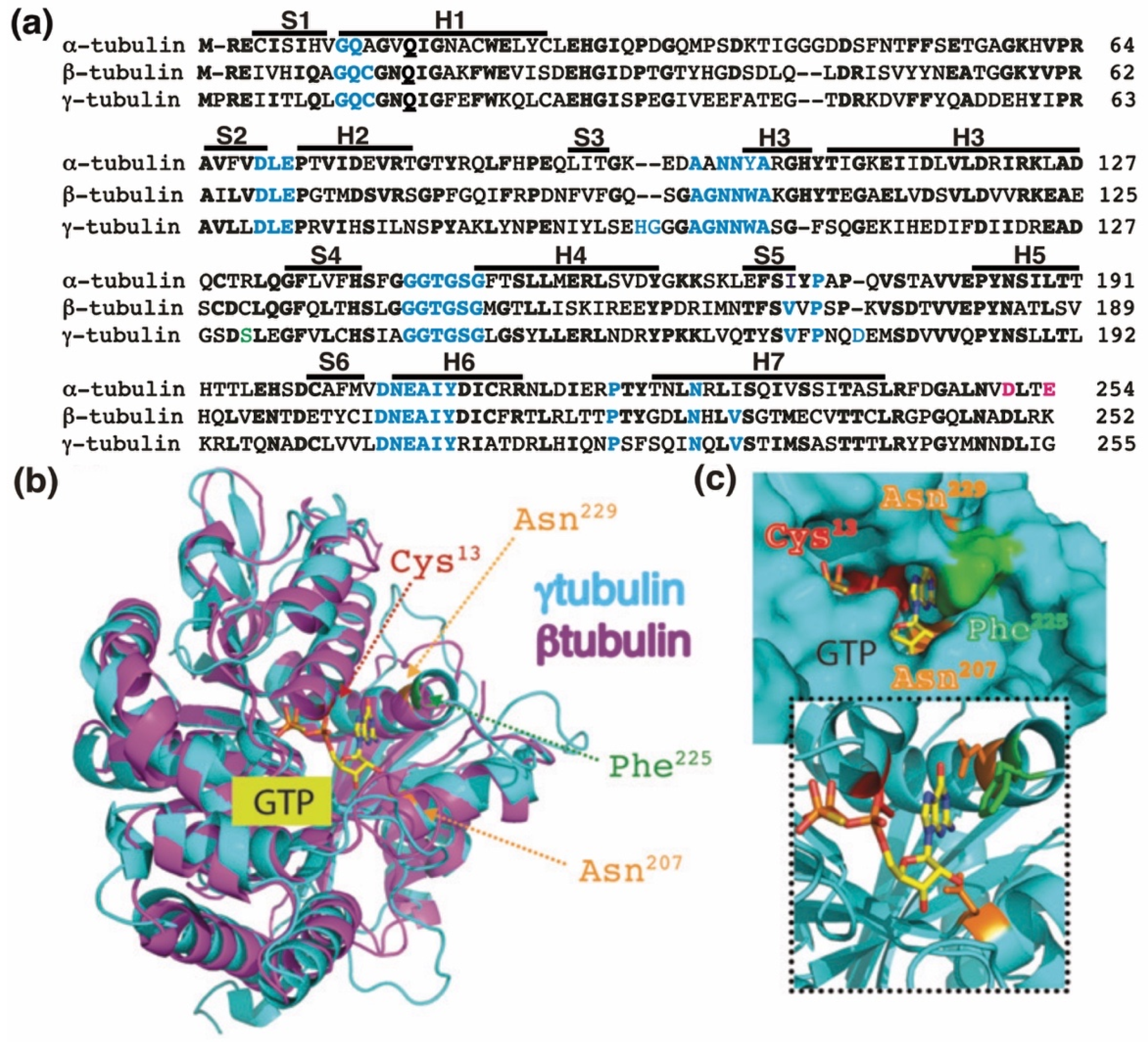Cells 10 00745 g001 Cells 10 00745 g001
