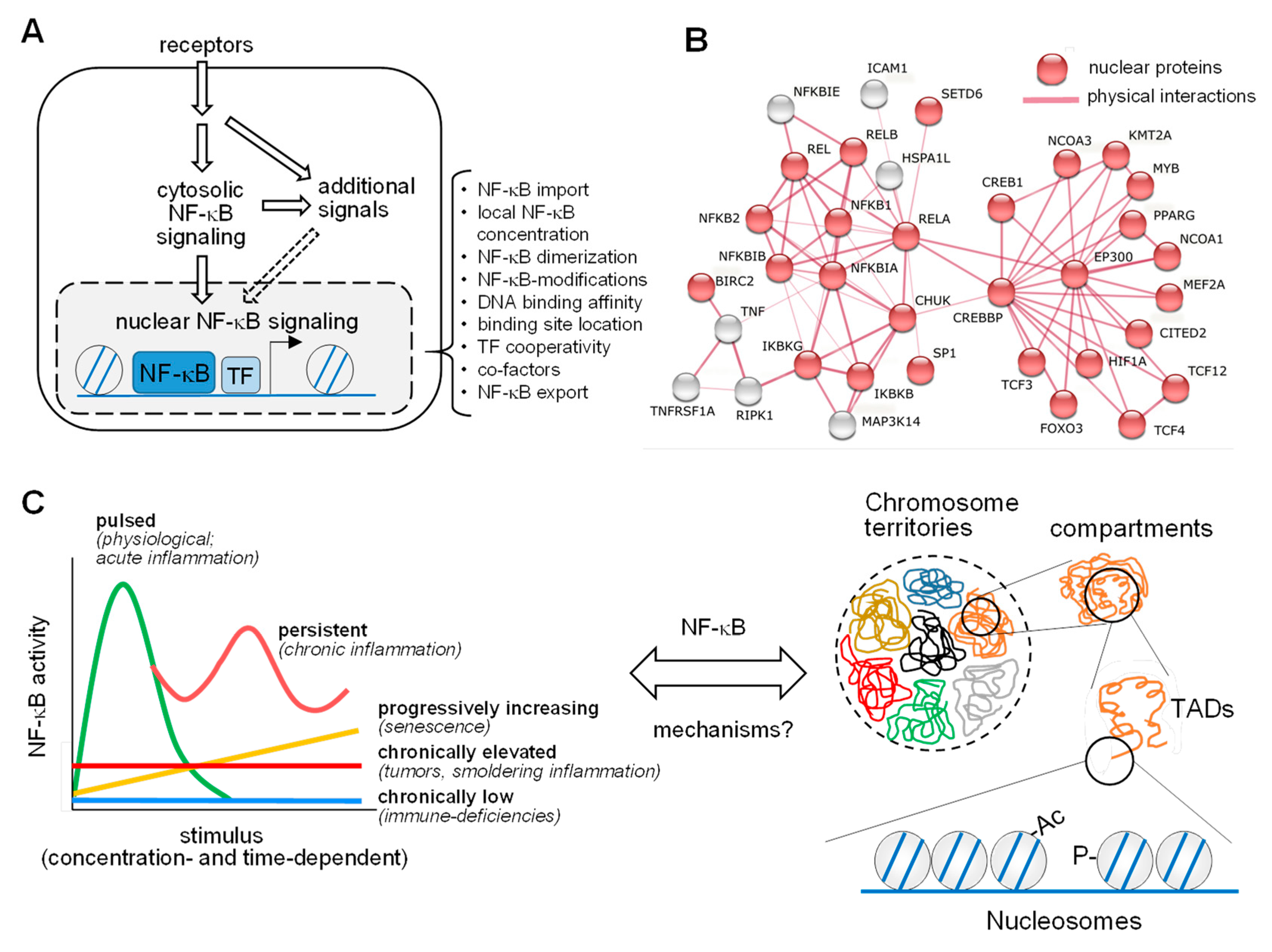 Cells 10 00753 g001 Cells 10 00753 g001
