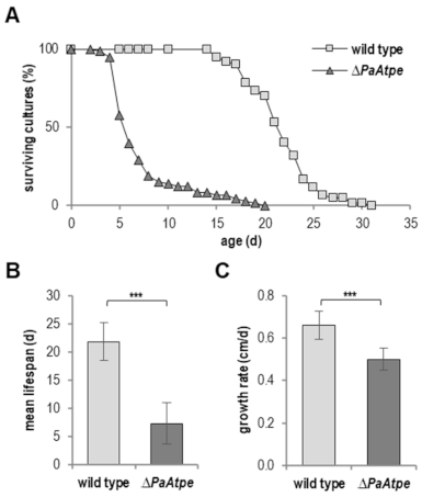 Cells 10 00757 g001 Cells 10 00757 g001
